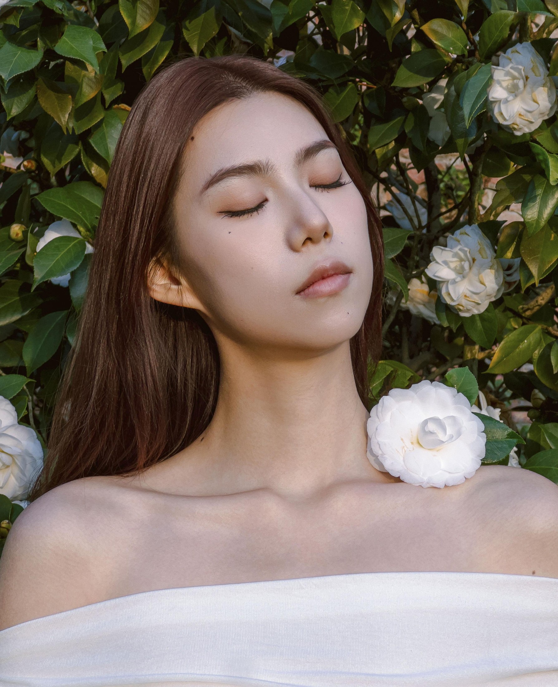 李萍 – 《Camellia》[20P]