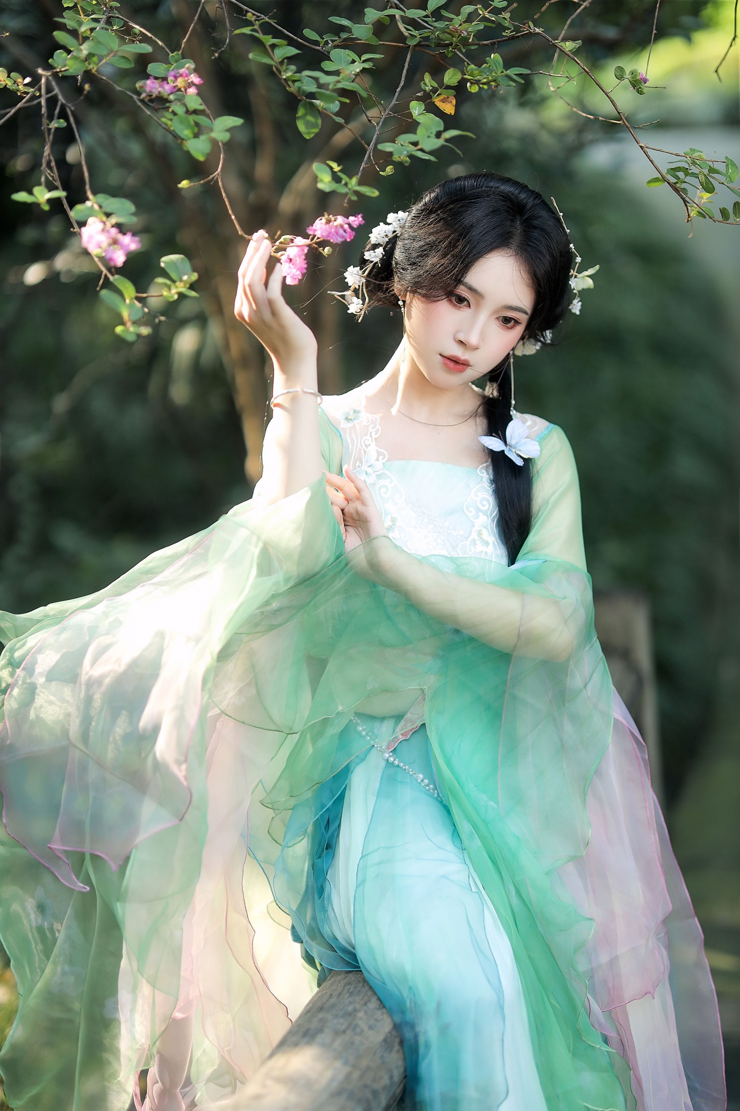 – 《绿野仙踪》[9P]