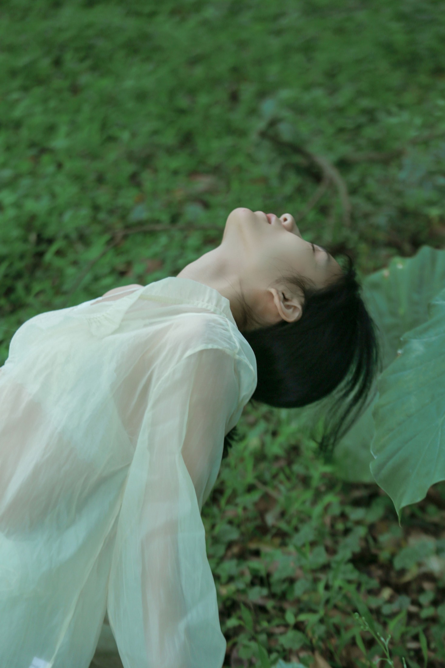 – 《夏》[20P]