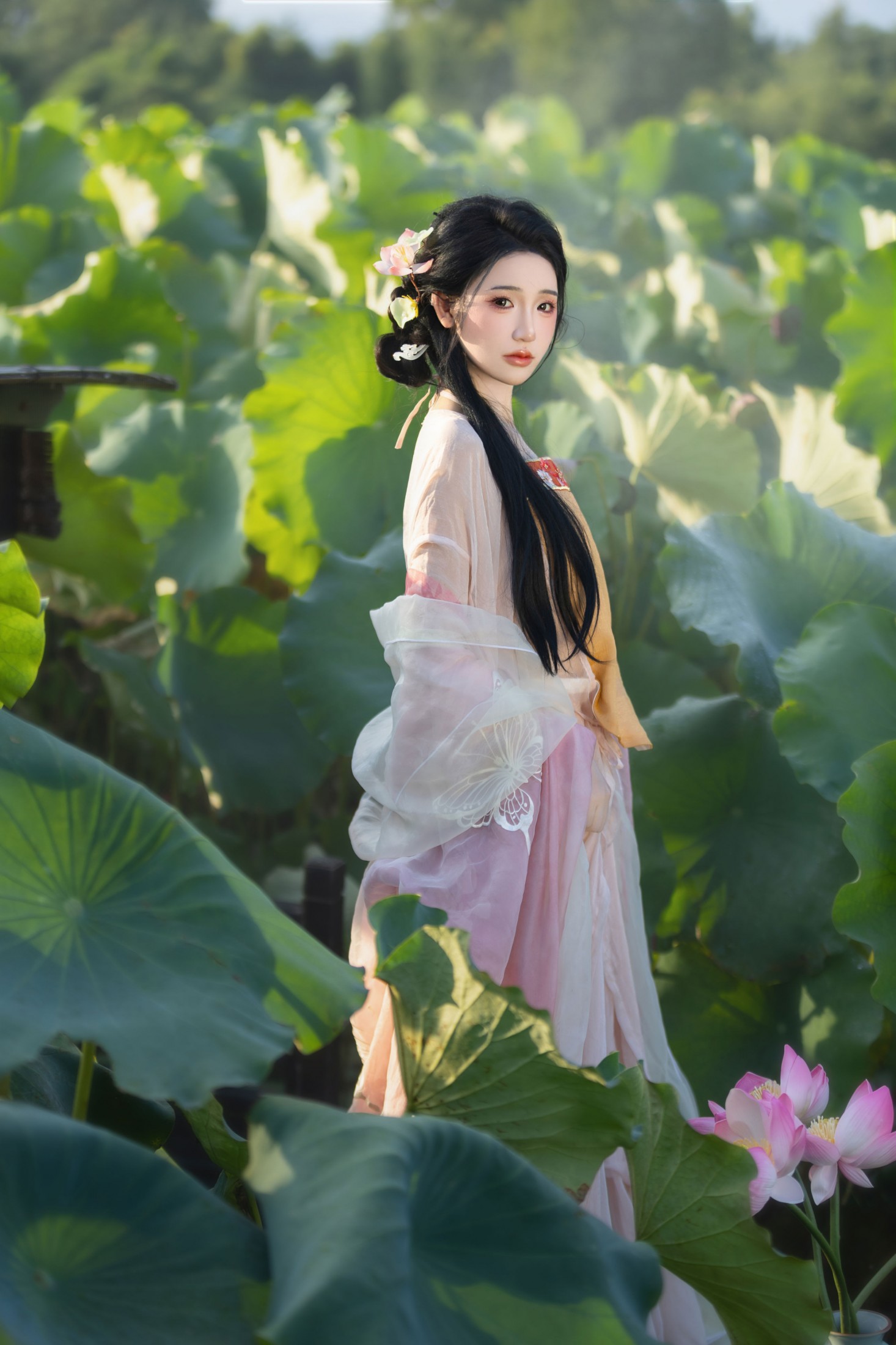 – 《荷香沁骨，美人入画》[13P]