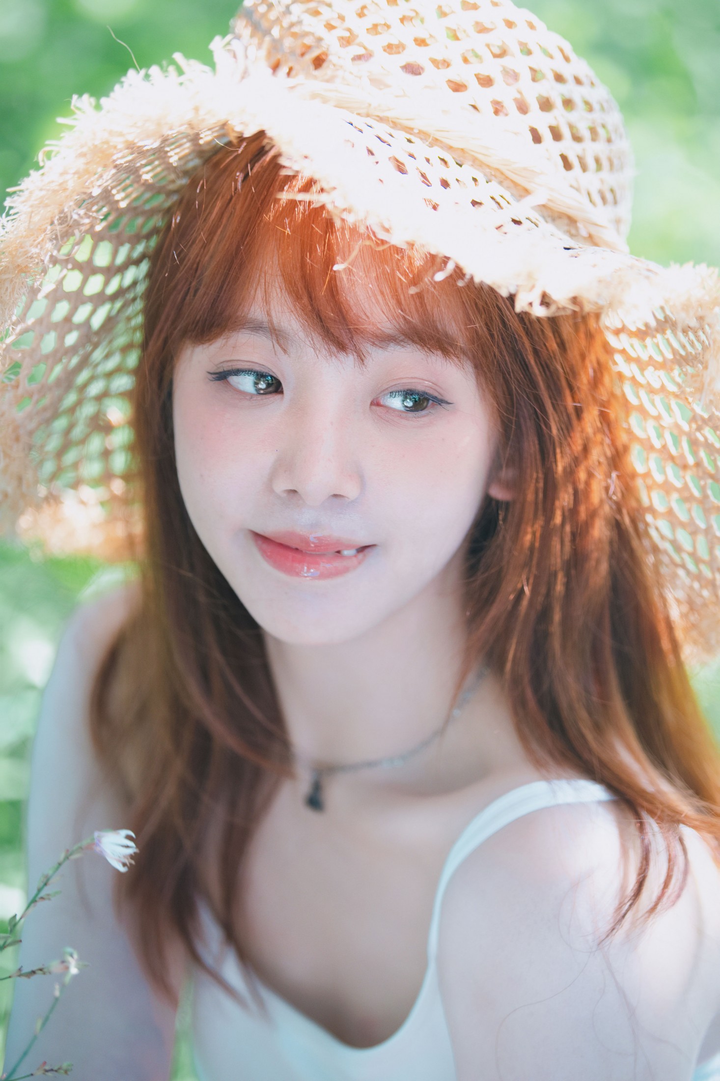 我的夏日是被浓郁绿色覆盖的梦