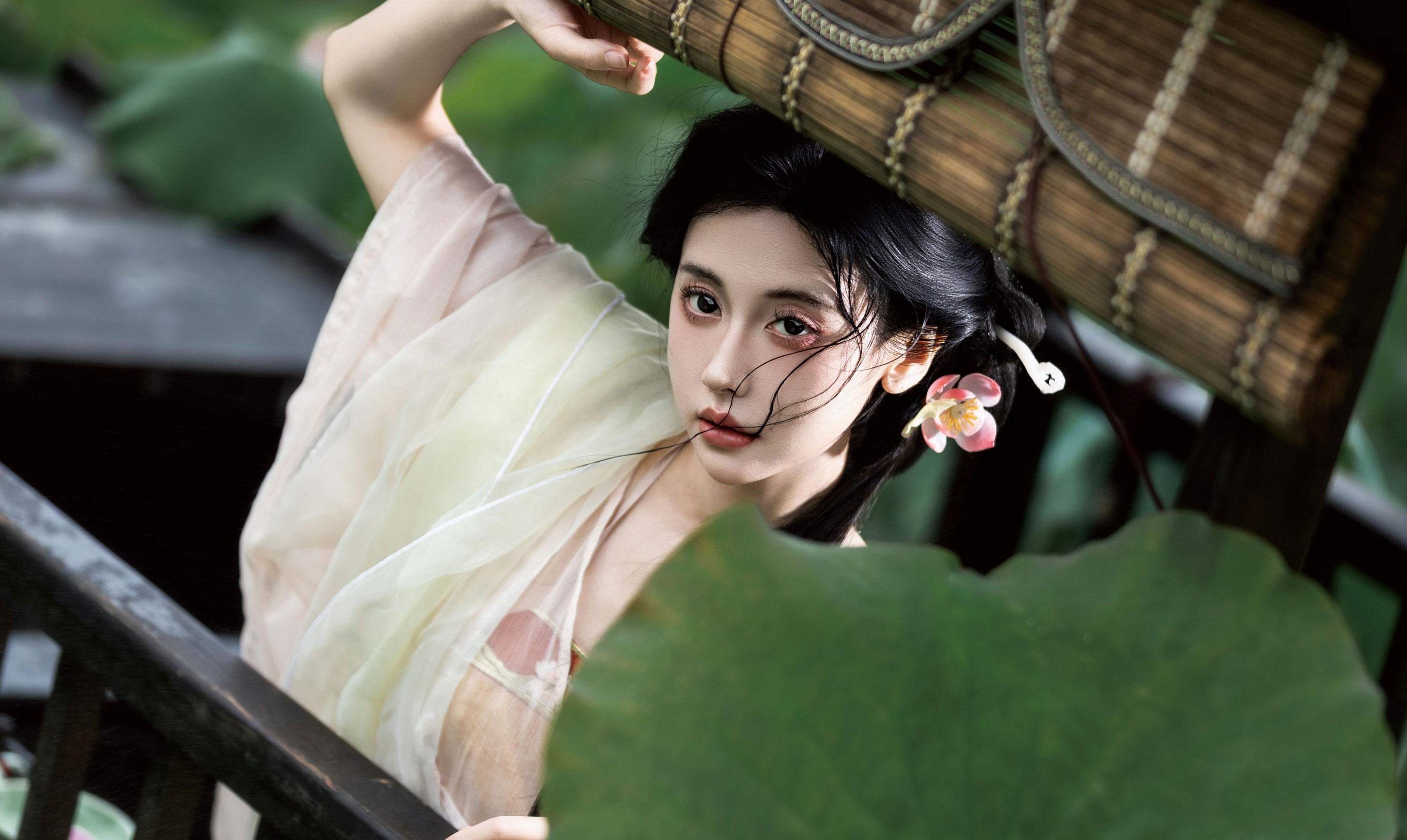 – 《荷》[17P]