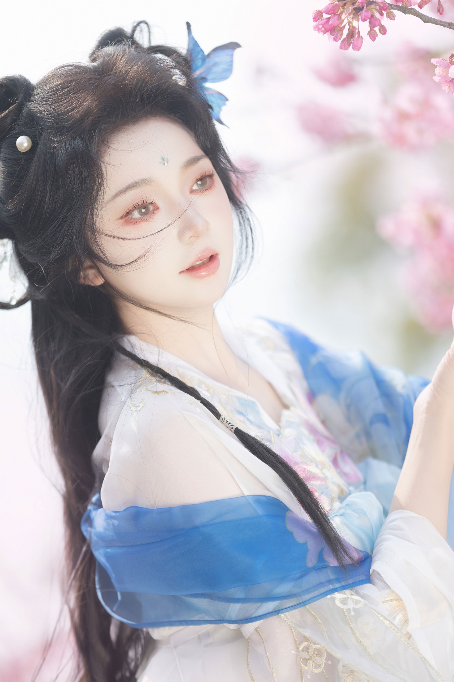 春日樱花