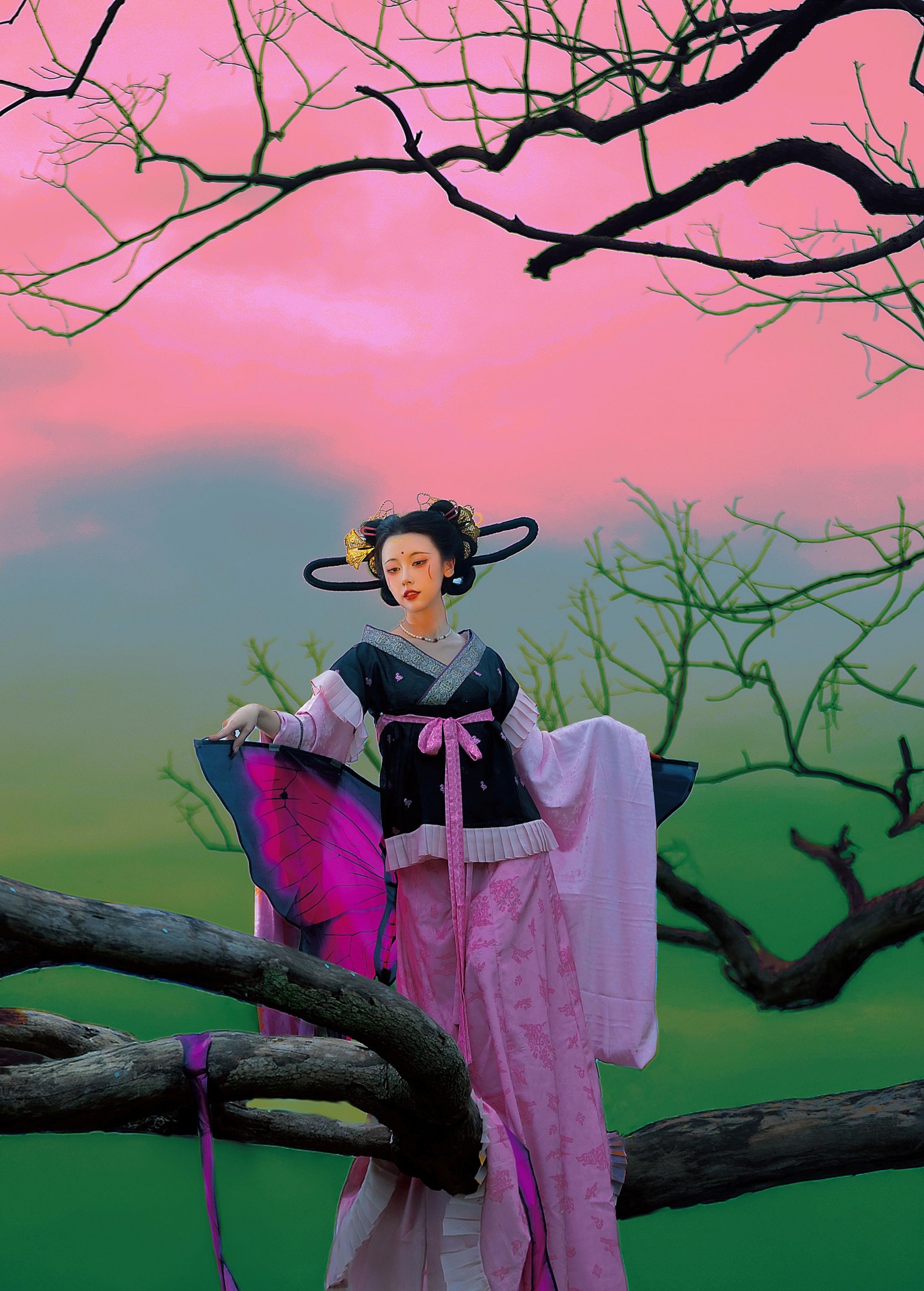 – 《蝶》[16P]