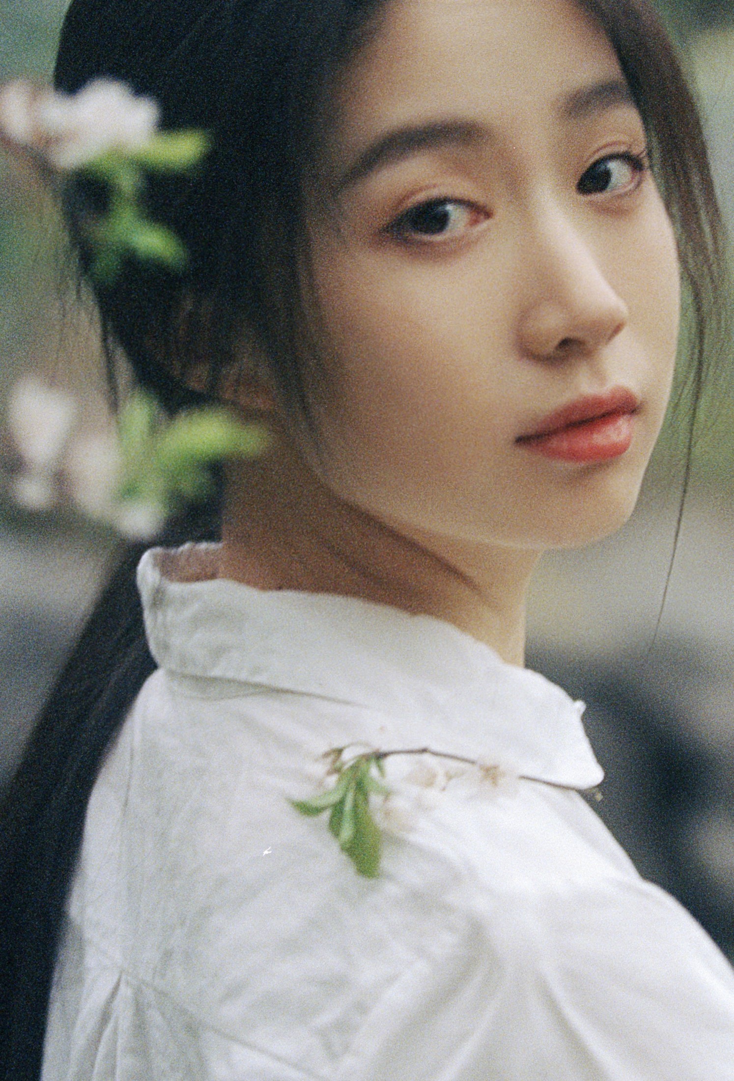 花下的梦