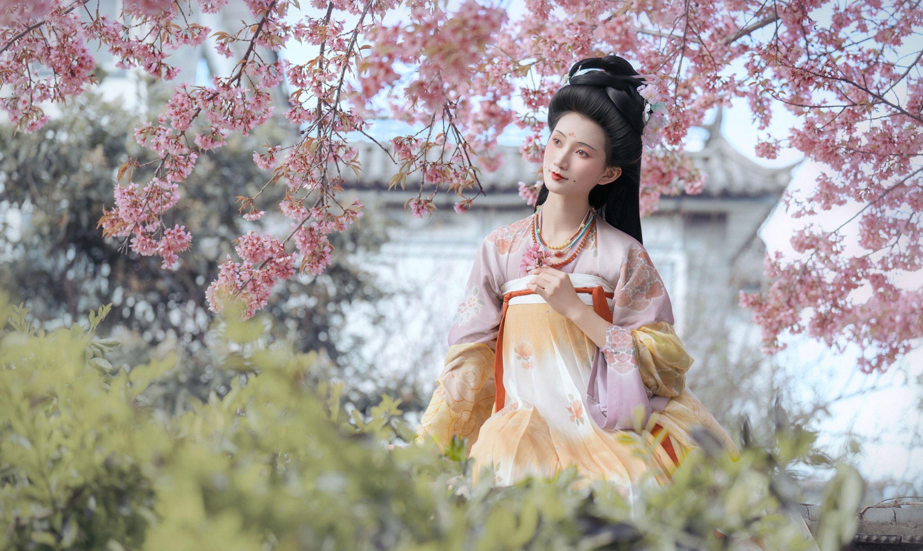 冰皮月亮蛋~ – 《春知晓·梦不觉》[9P]