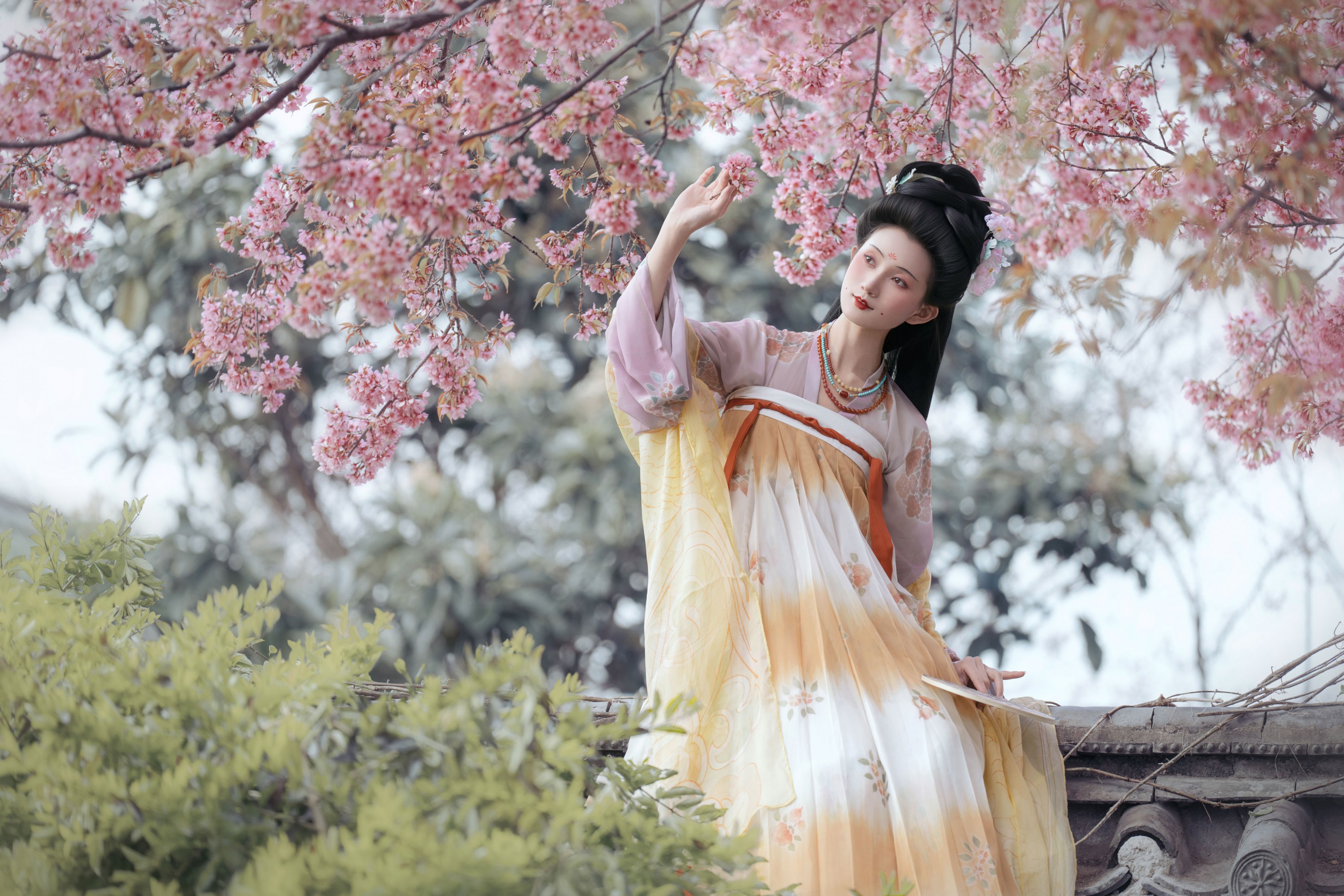 春知晓·梦不觉