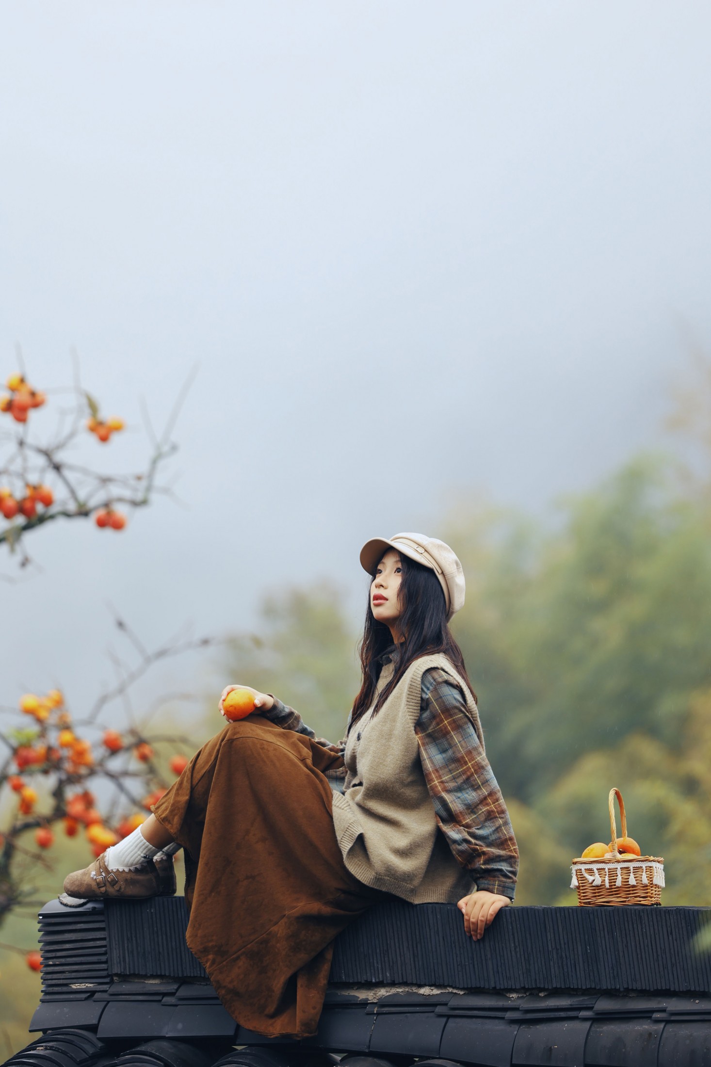 柿柿如意