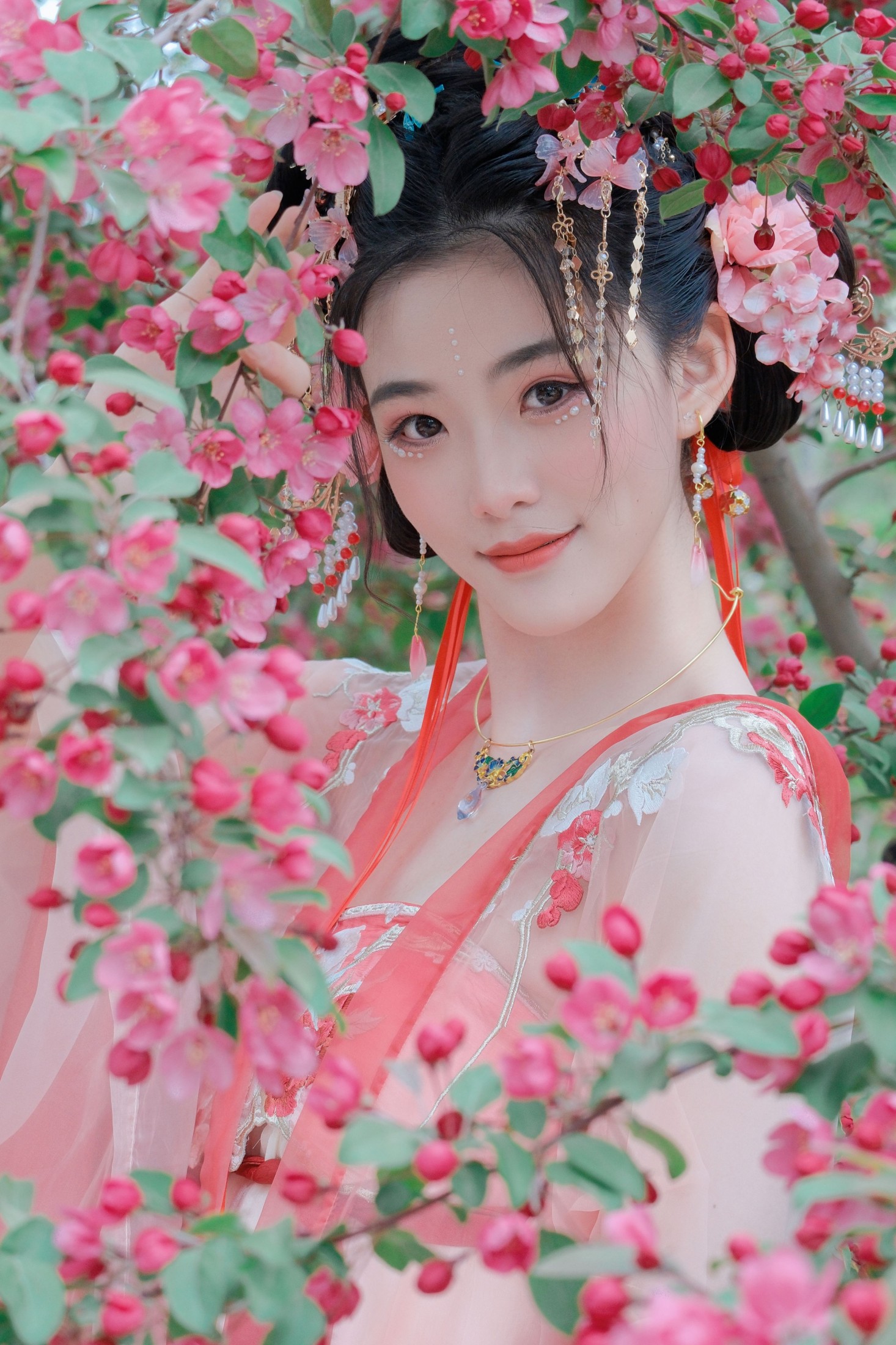 春日宴