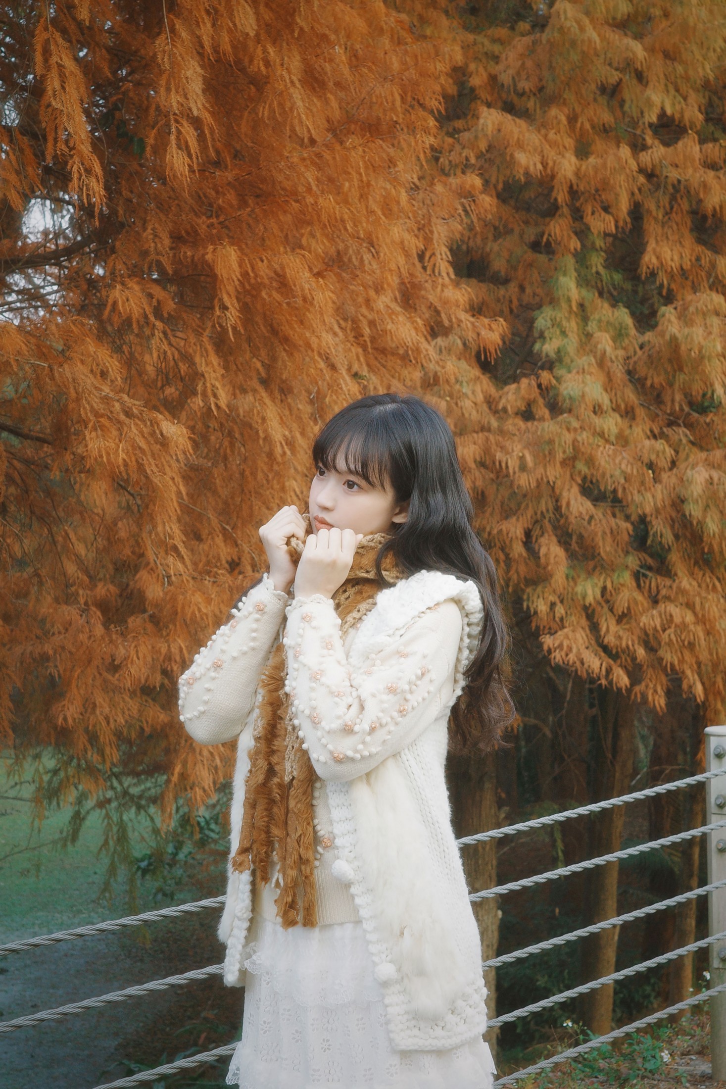森林梦核