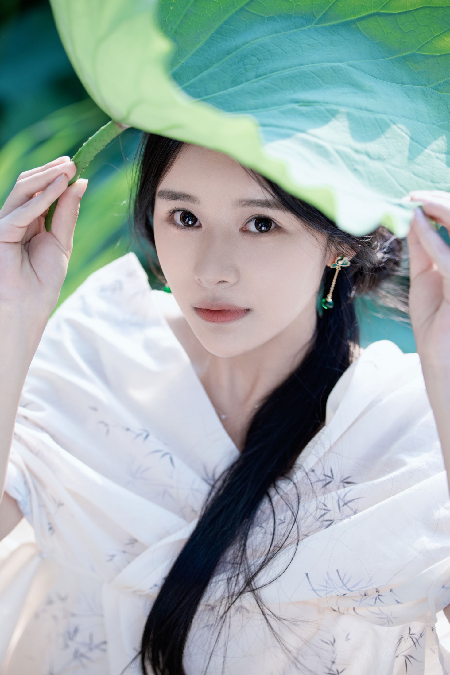 荷塘清风