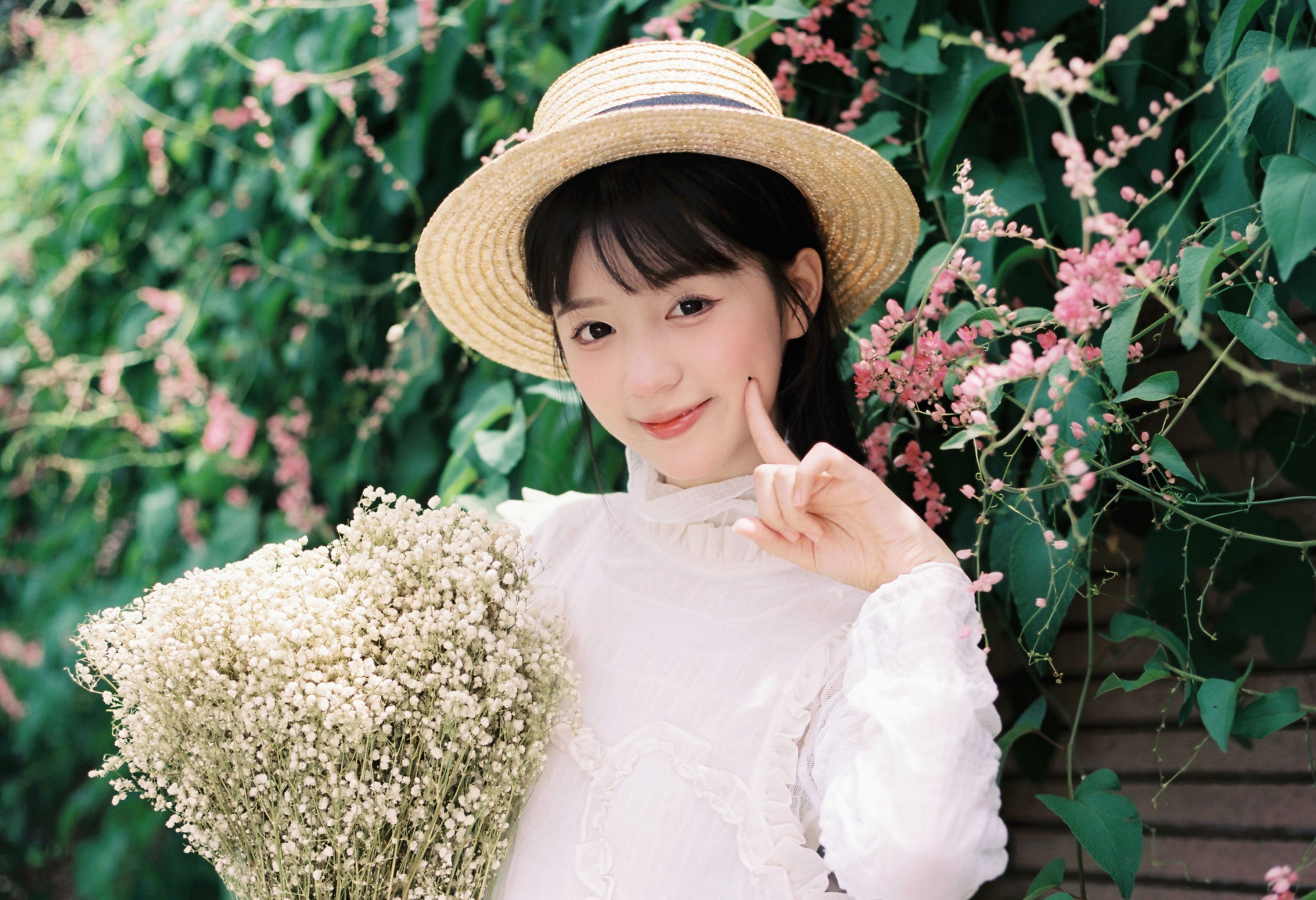 夏日满天星