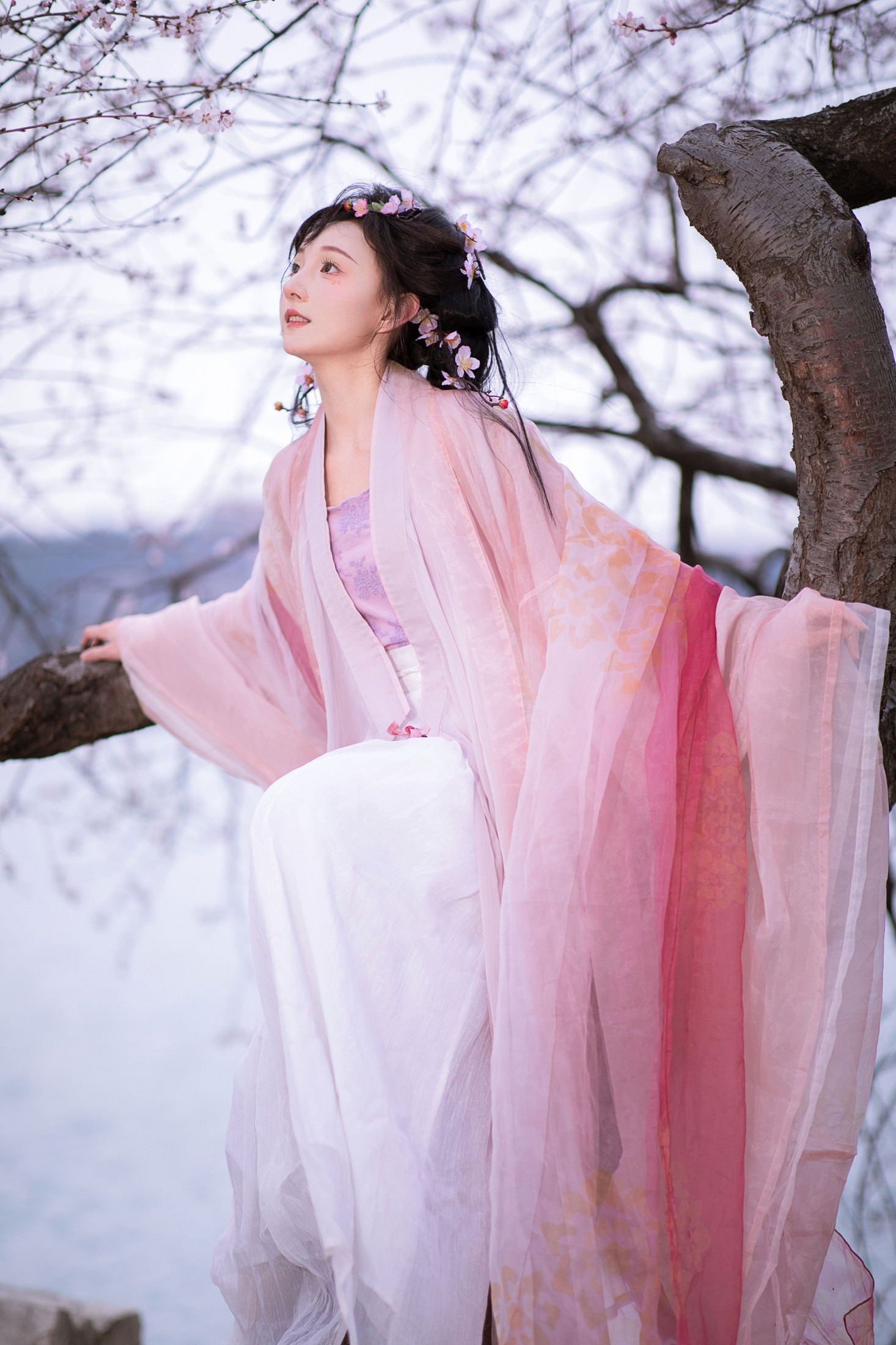 狮子酱酱酱 - 《桃花树下桃花仙》[10P]