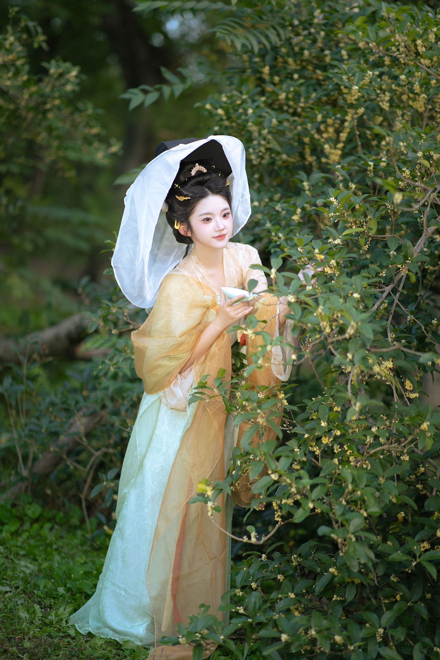 几度秋意浓，最是桂花香。