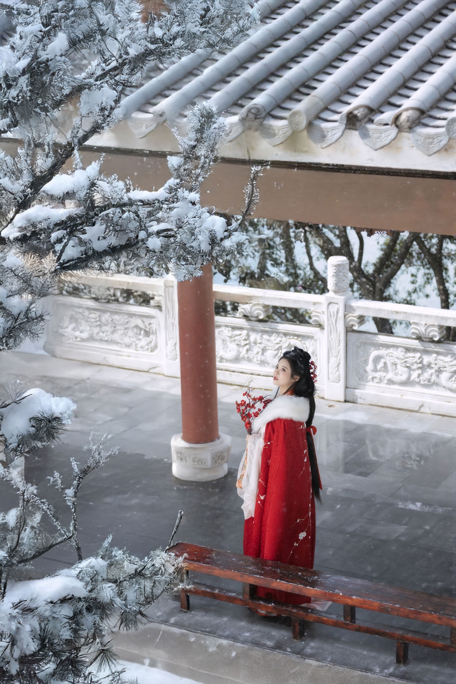 红梅白雪知