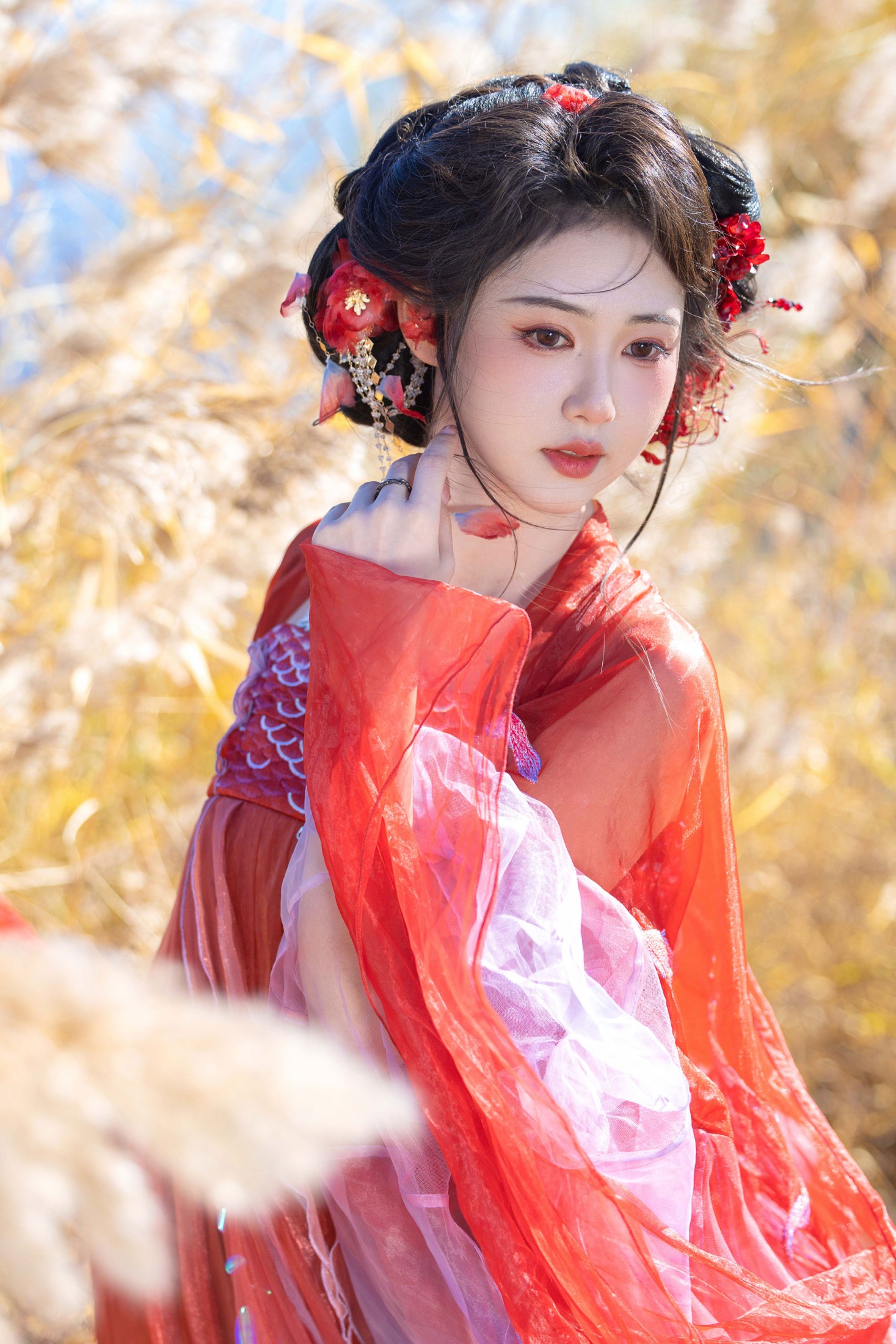 《锦鲤》[10P]