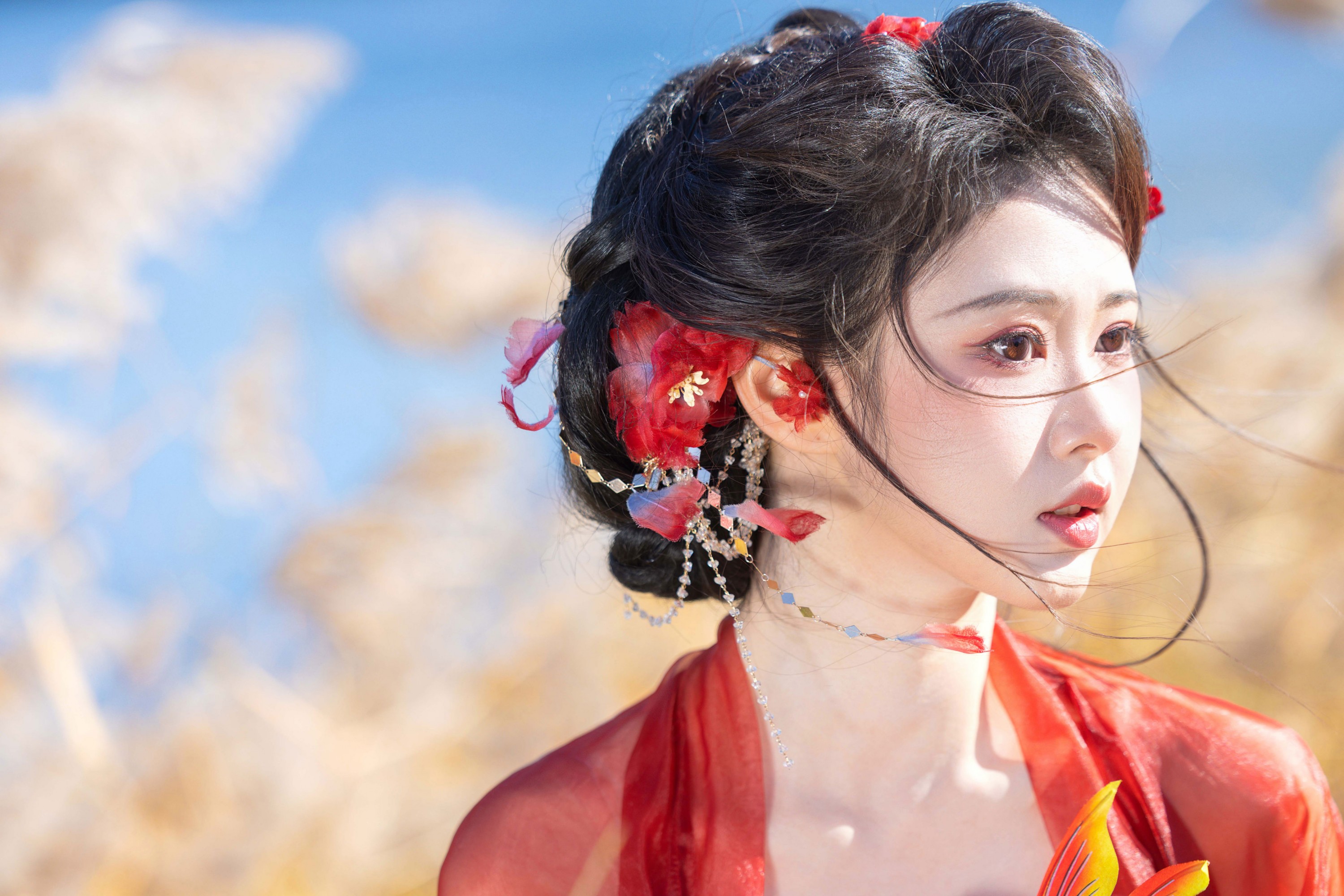 《锦鲤》[10P]