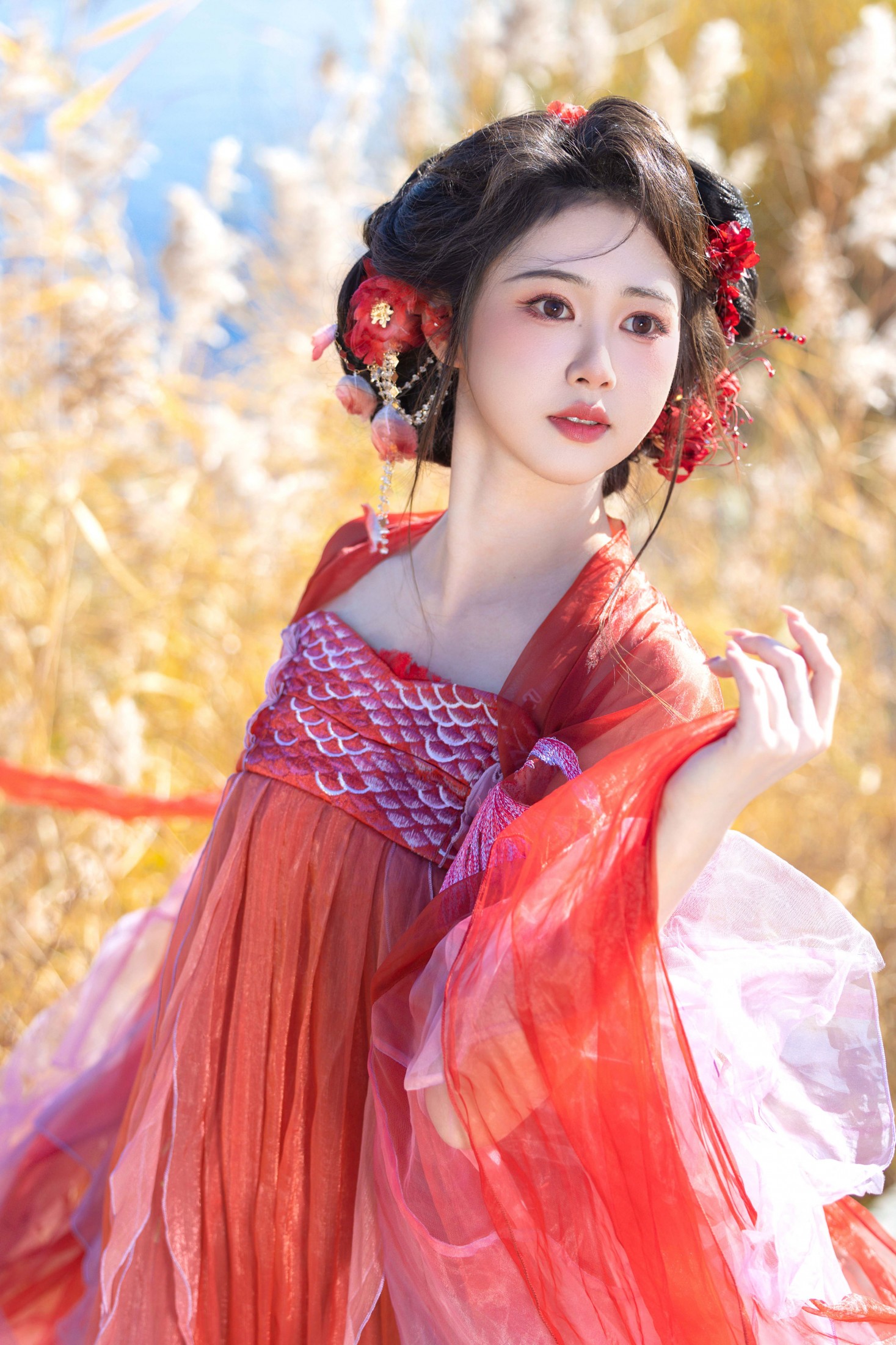 《锦鲤》[10P]