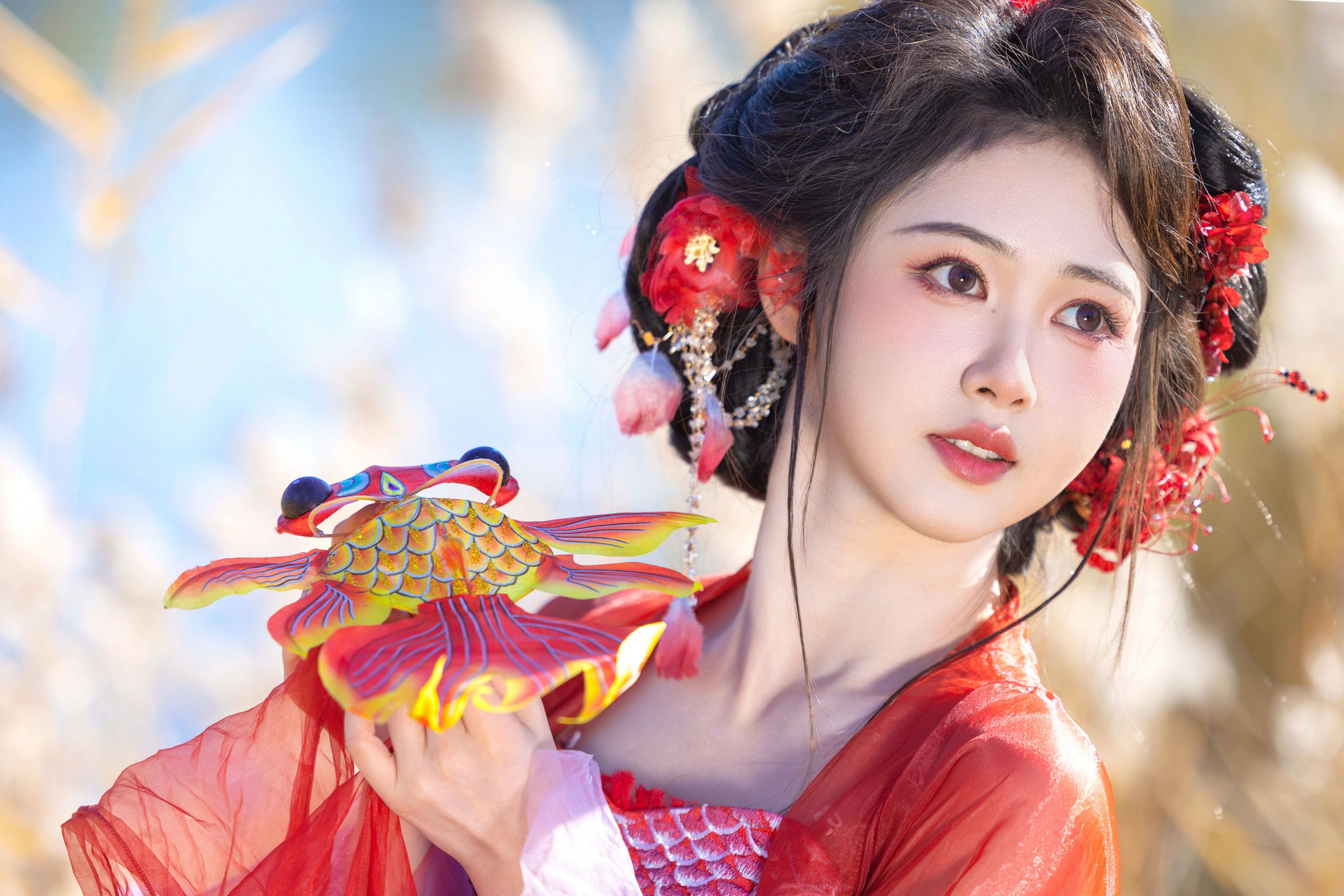 《锦鲤》[10P]