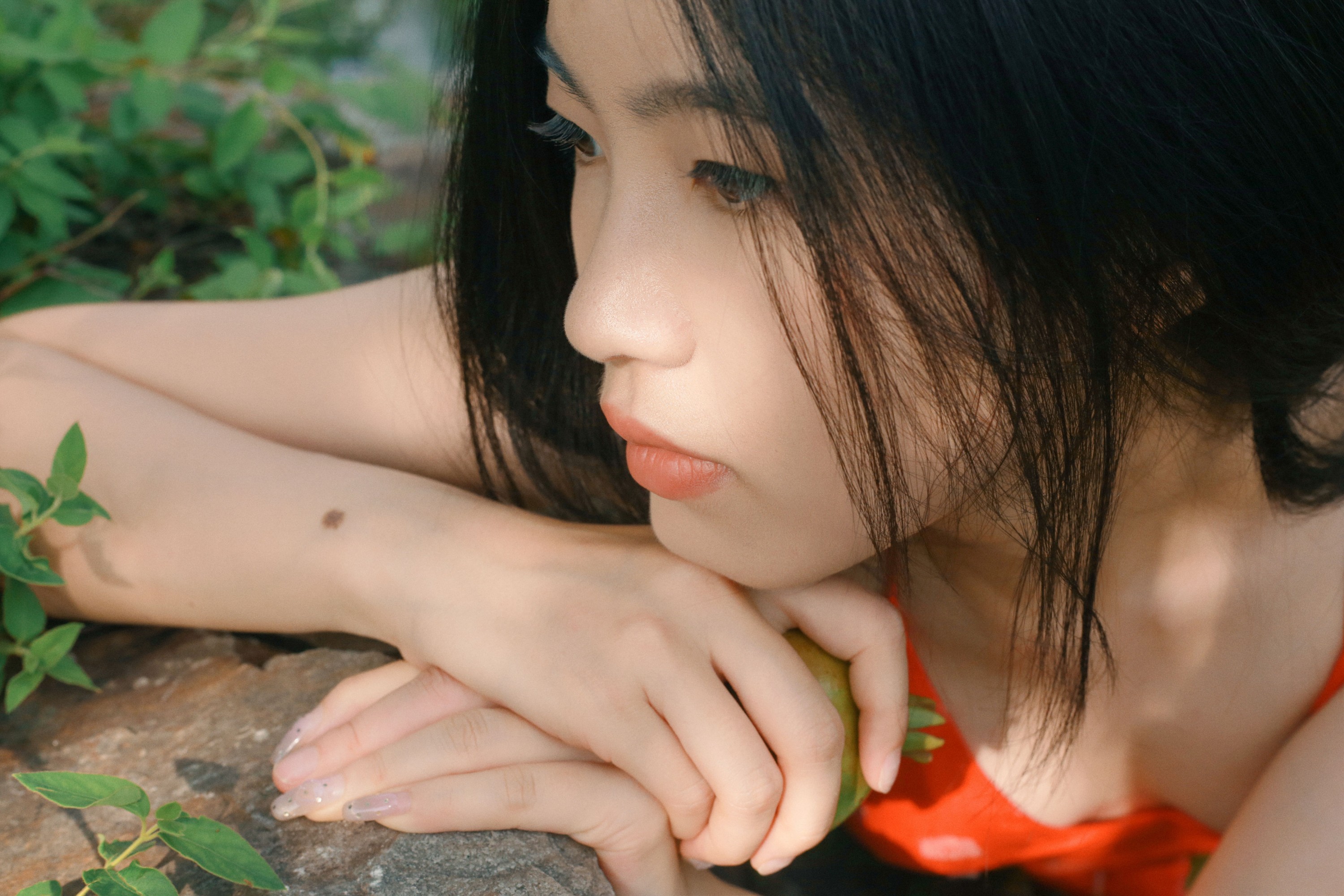 《晴》[24P]