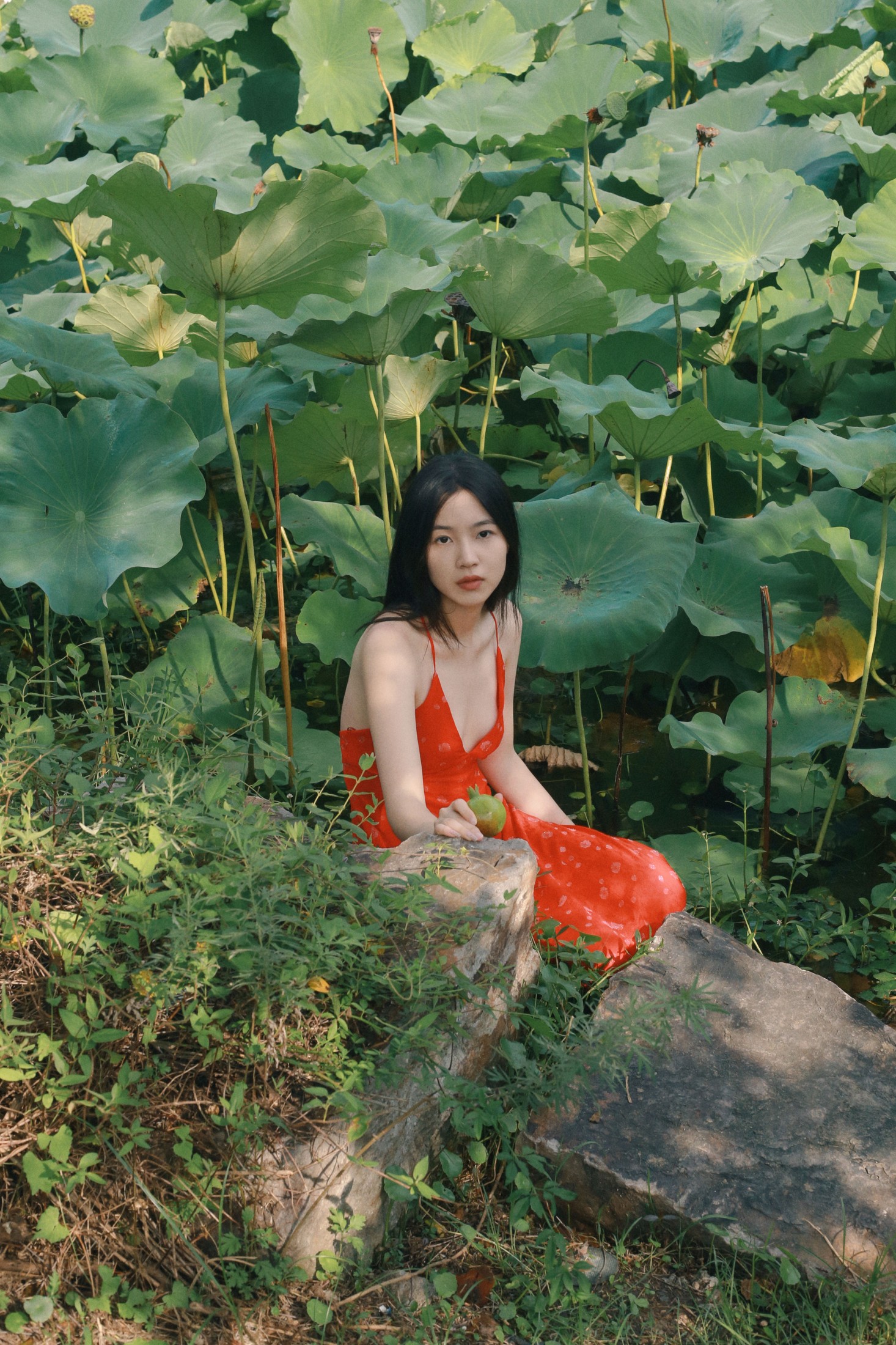 《晴》[24P]