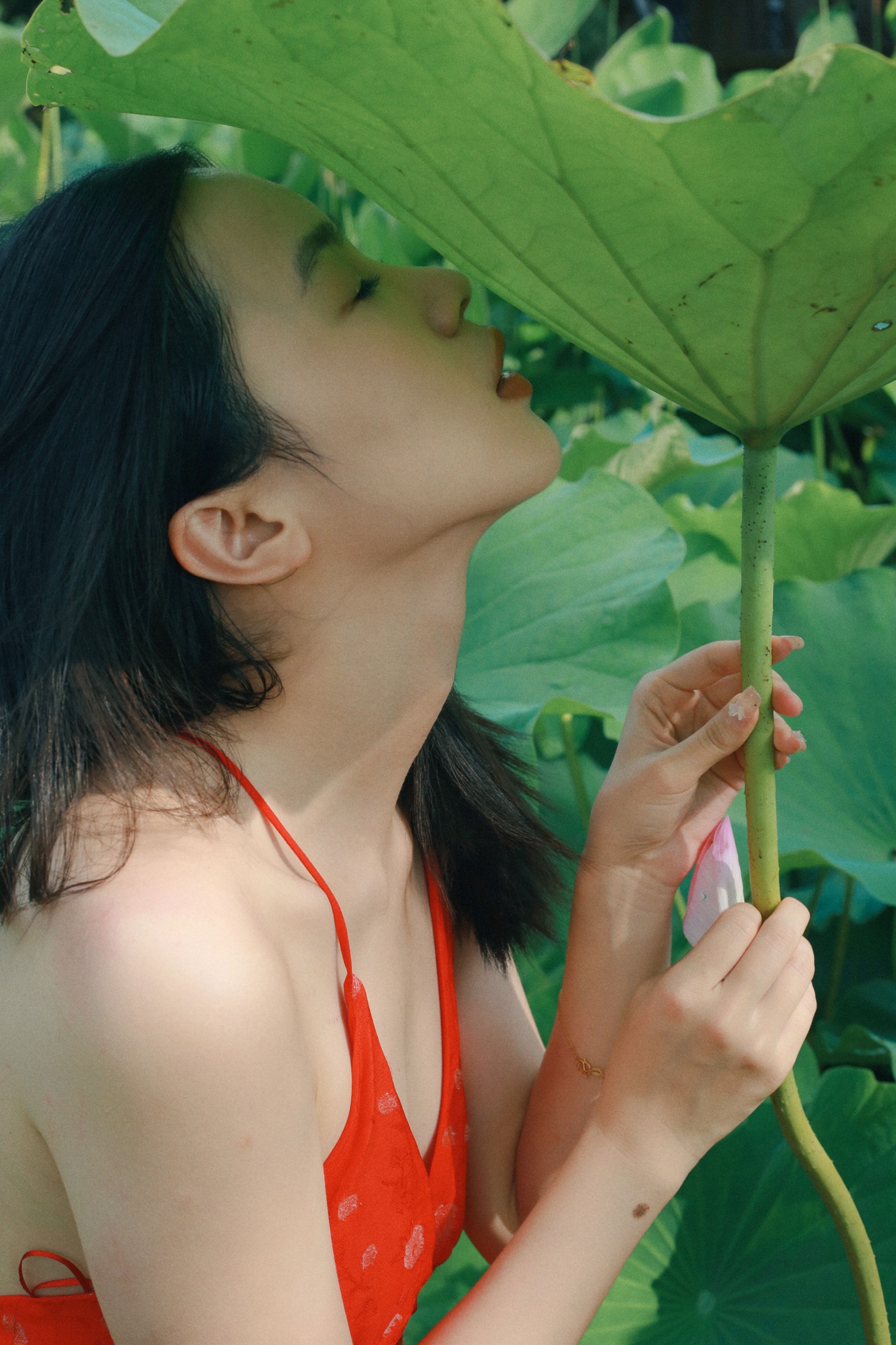 《晴》[24P]