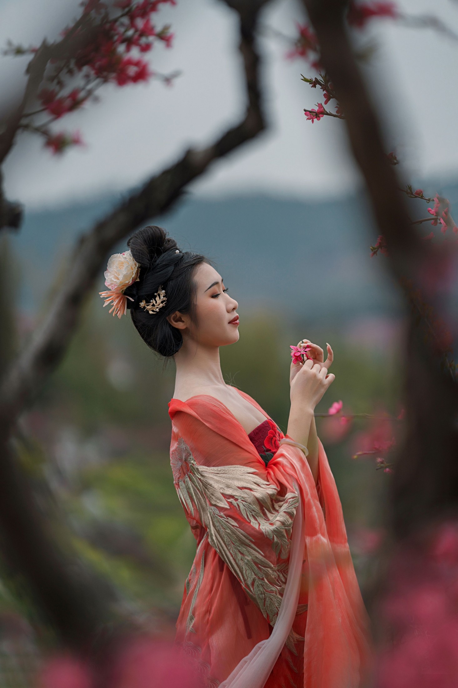 柒茶 - 《三月艳阳春》[29P]