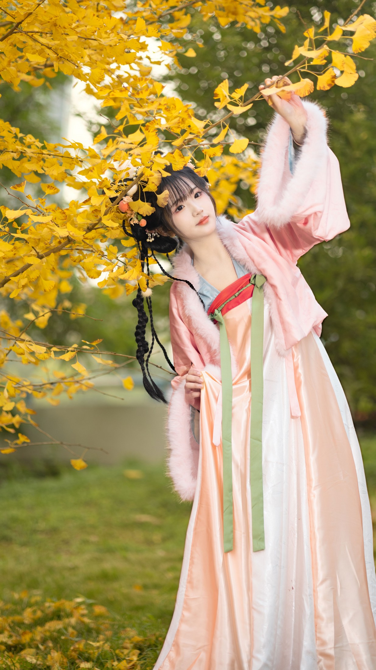 秋天的黄是银杏叶的黄