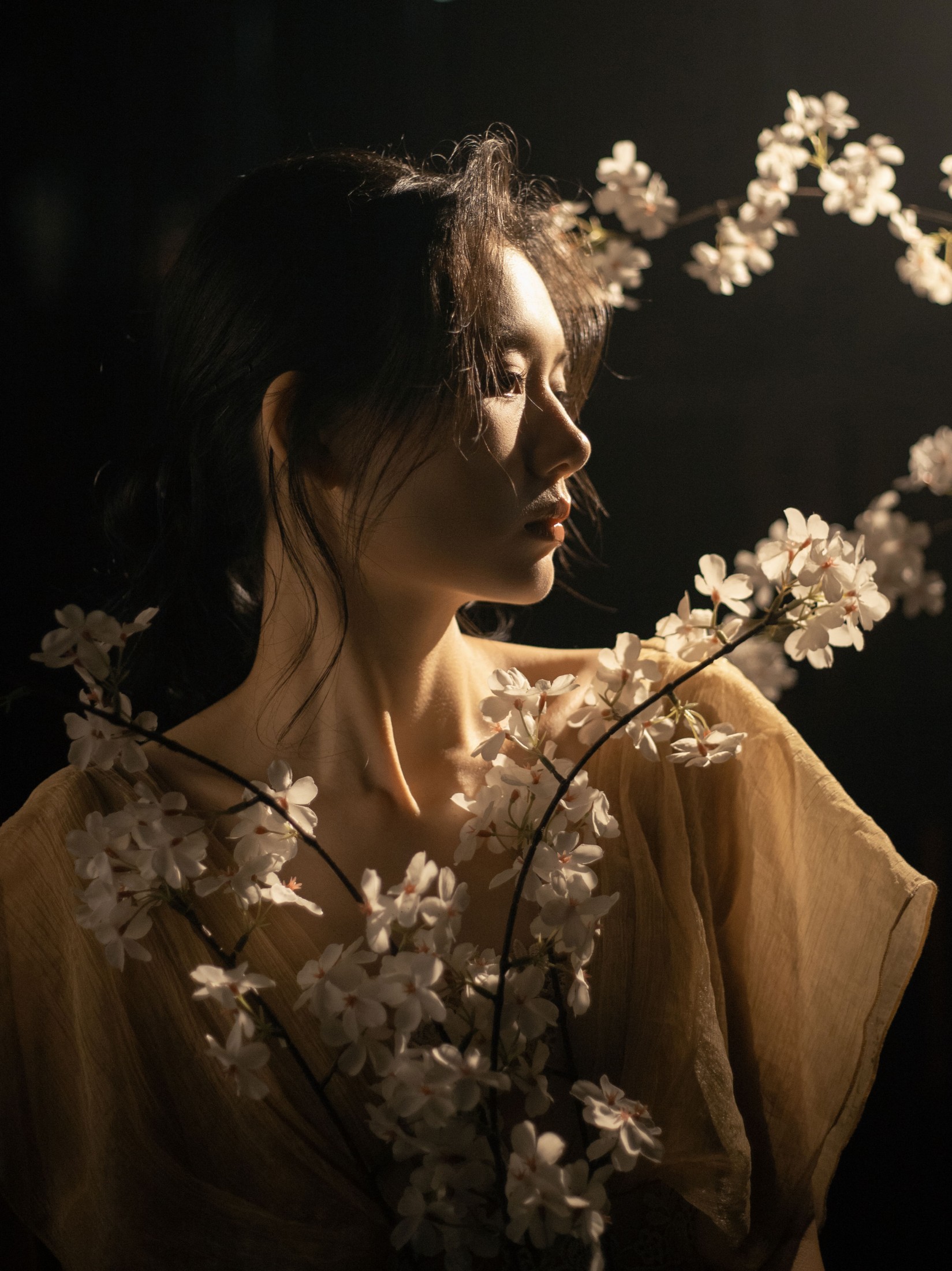 《夜樱》[11P]