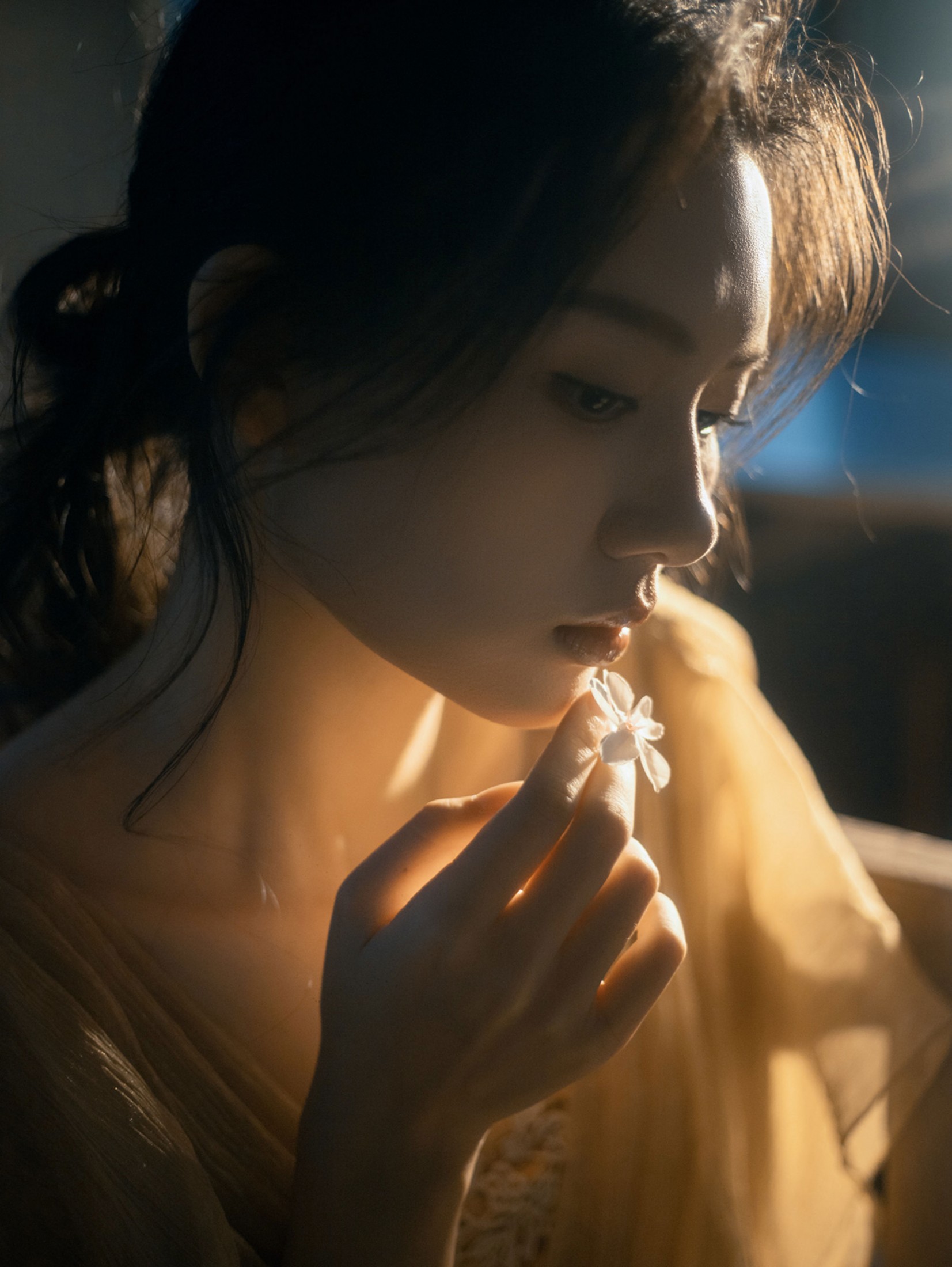 《夜樱》[11P]