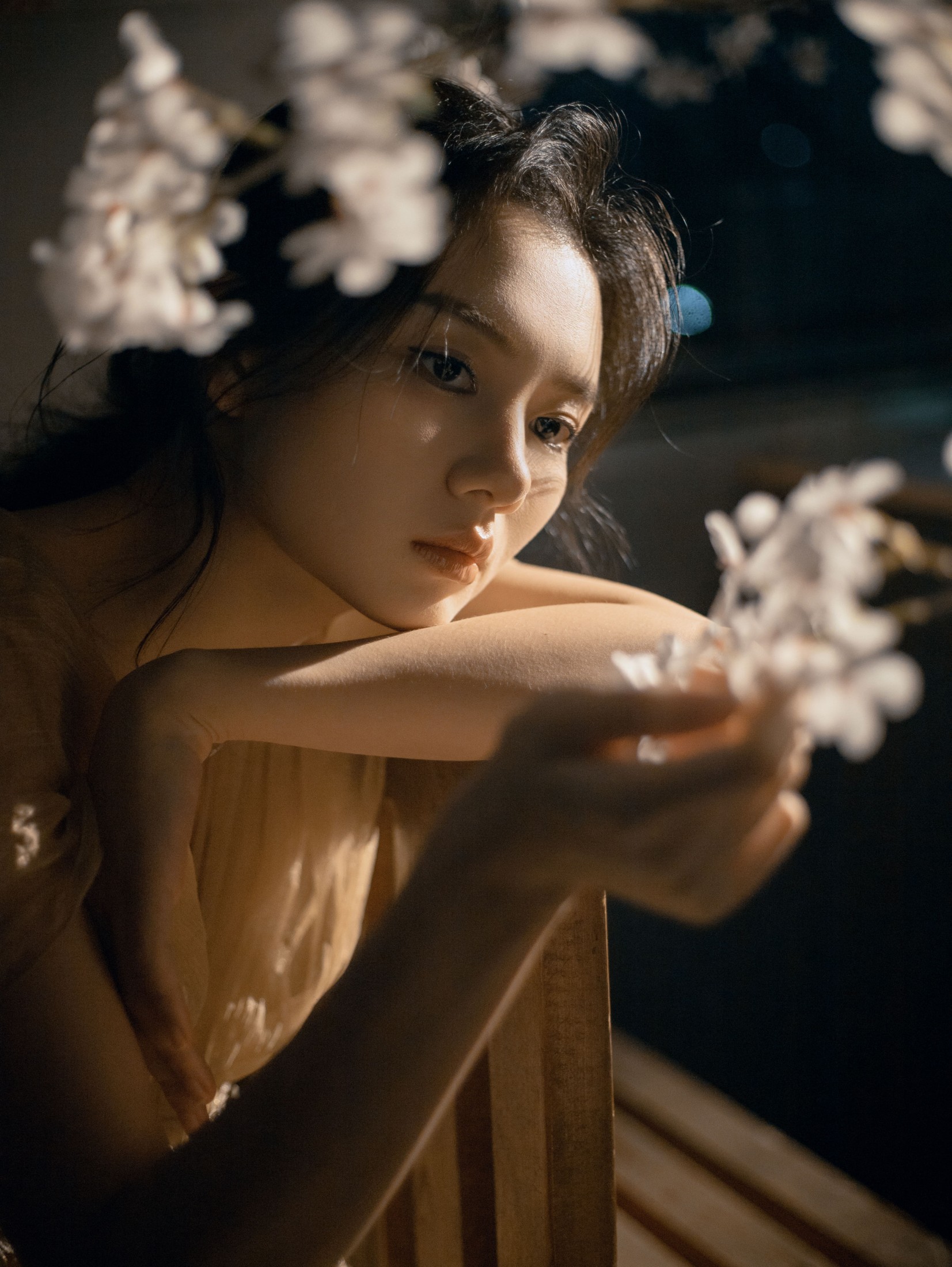 《夜樱》[11P]