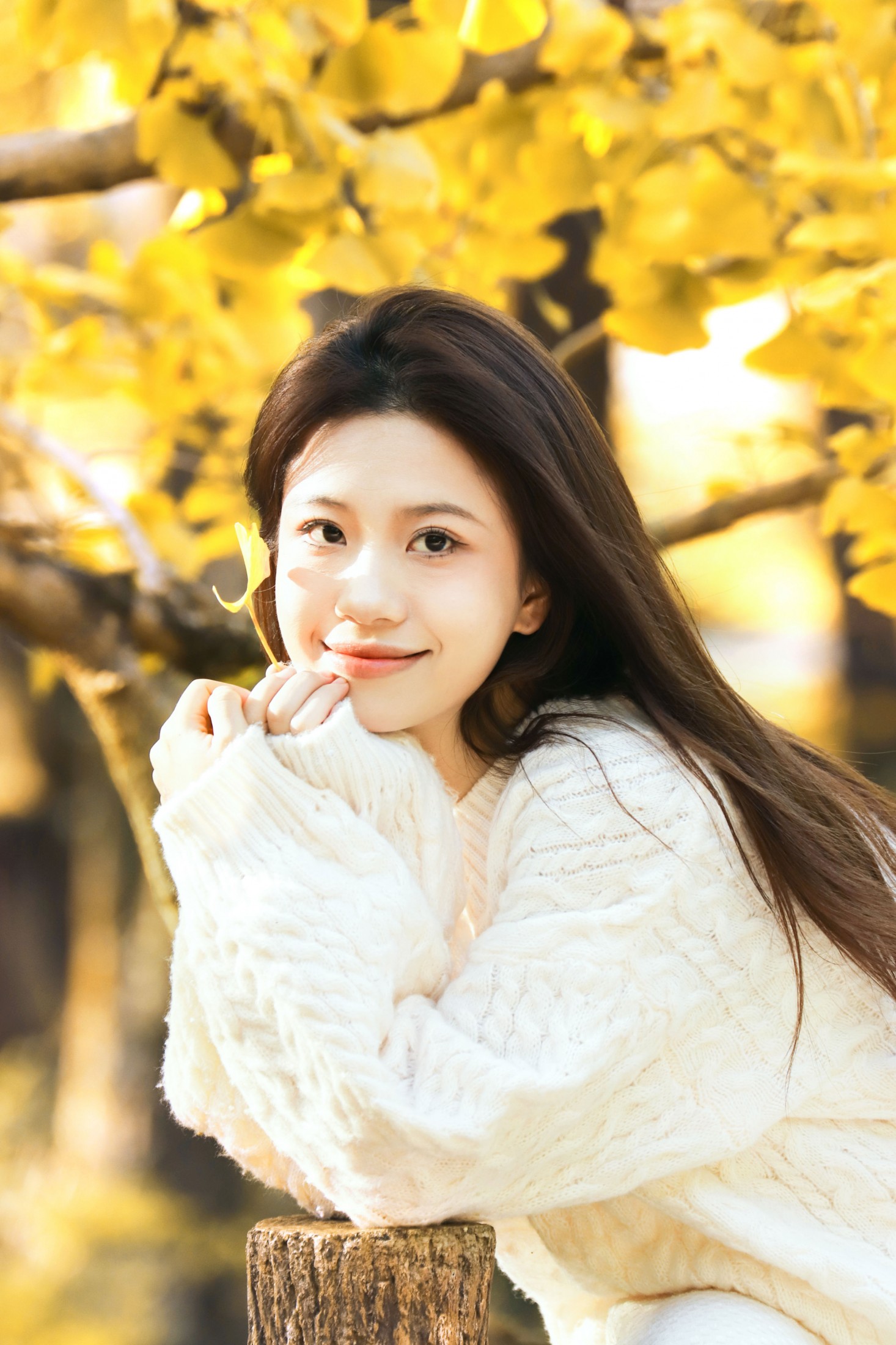 《专属于秋天的银杏》[15P]