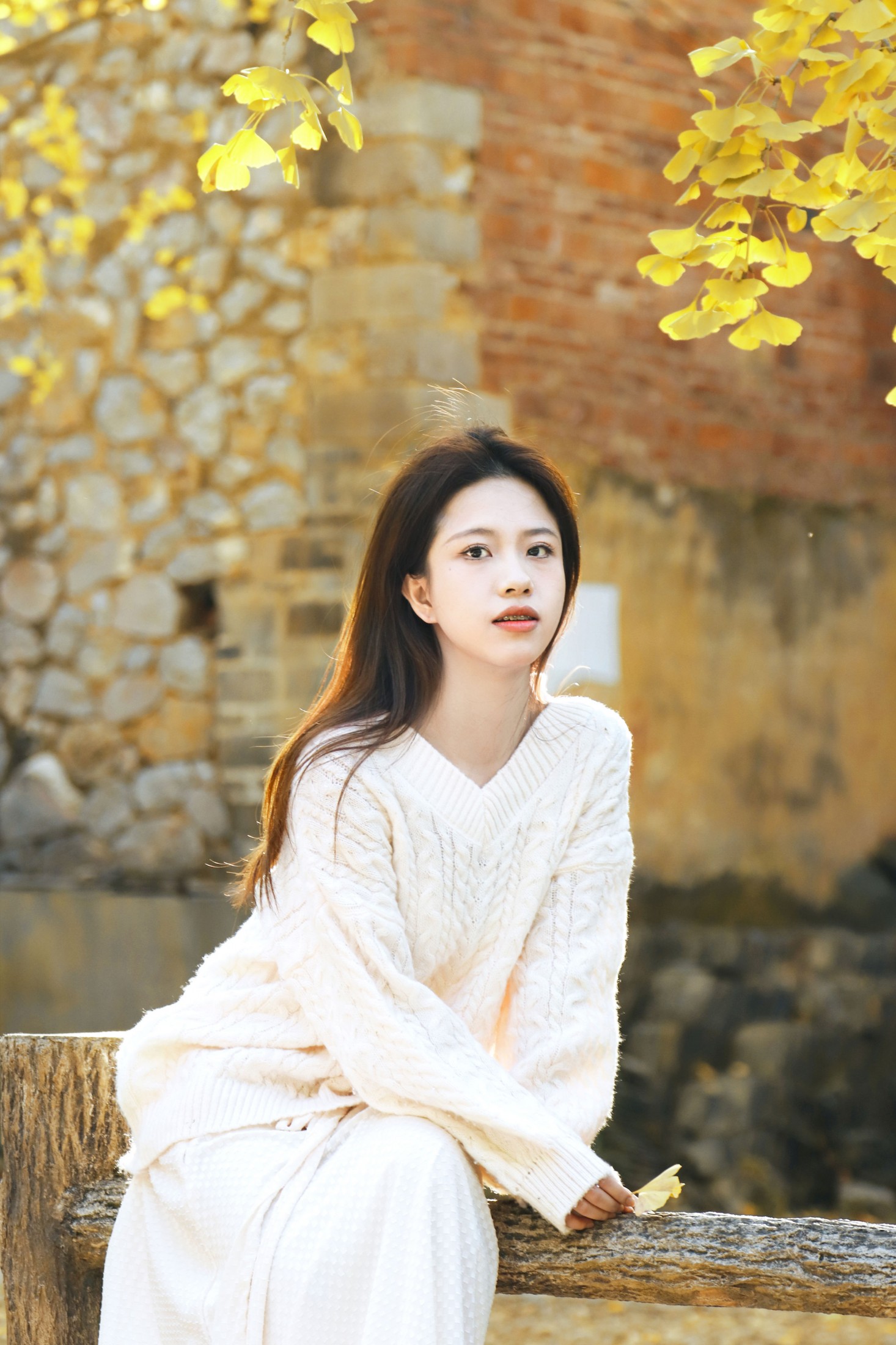 专属于秋天的银杏