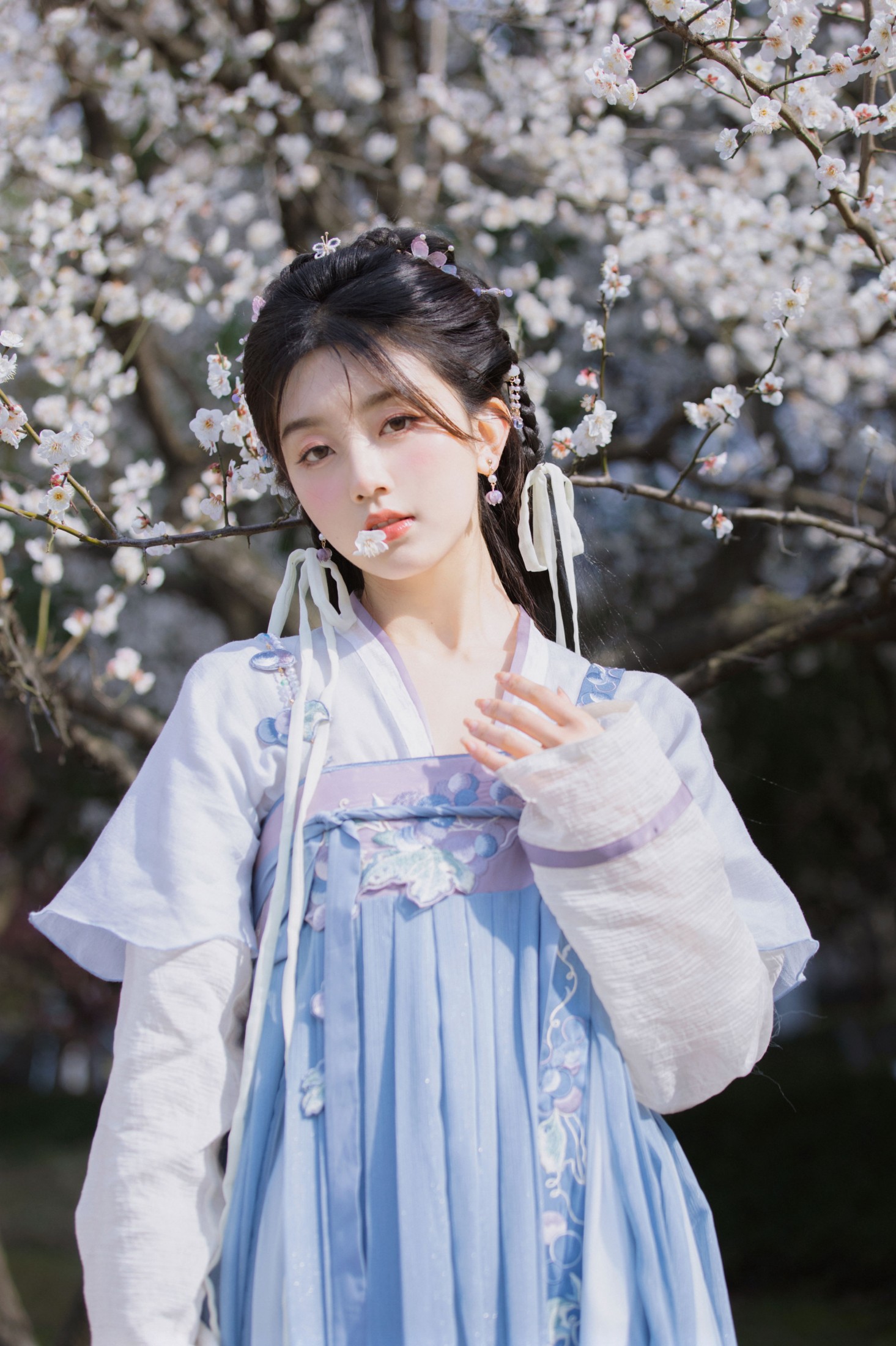 梅花初绽