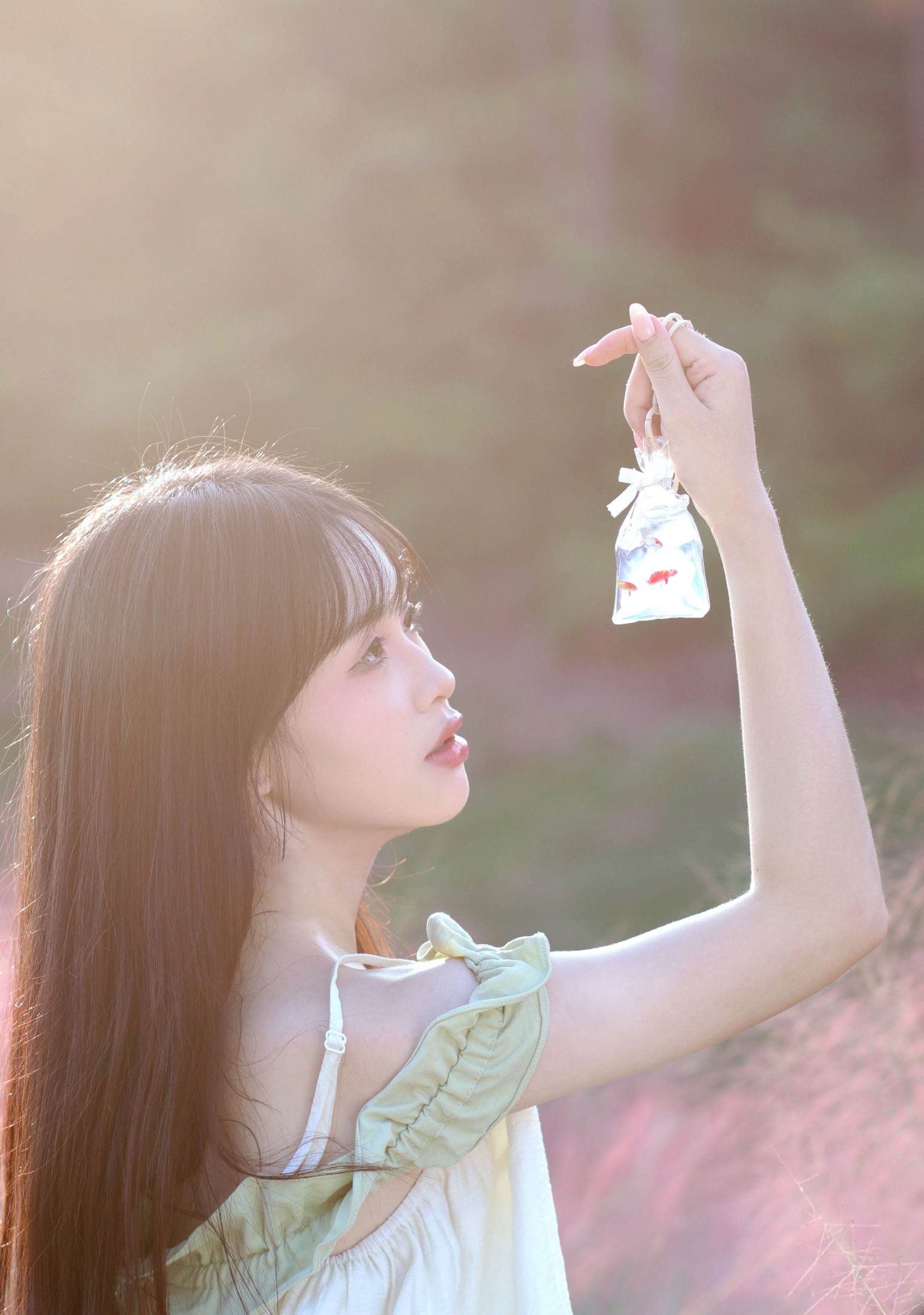 西洋西洋菜 - 《粉色花海》[15P]