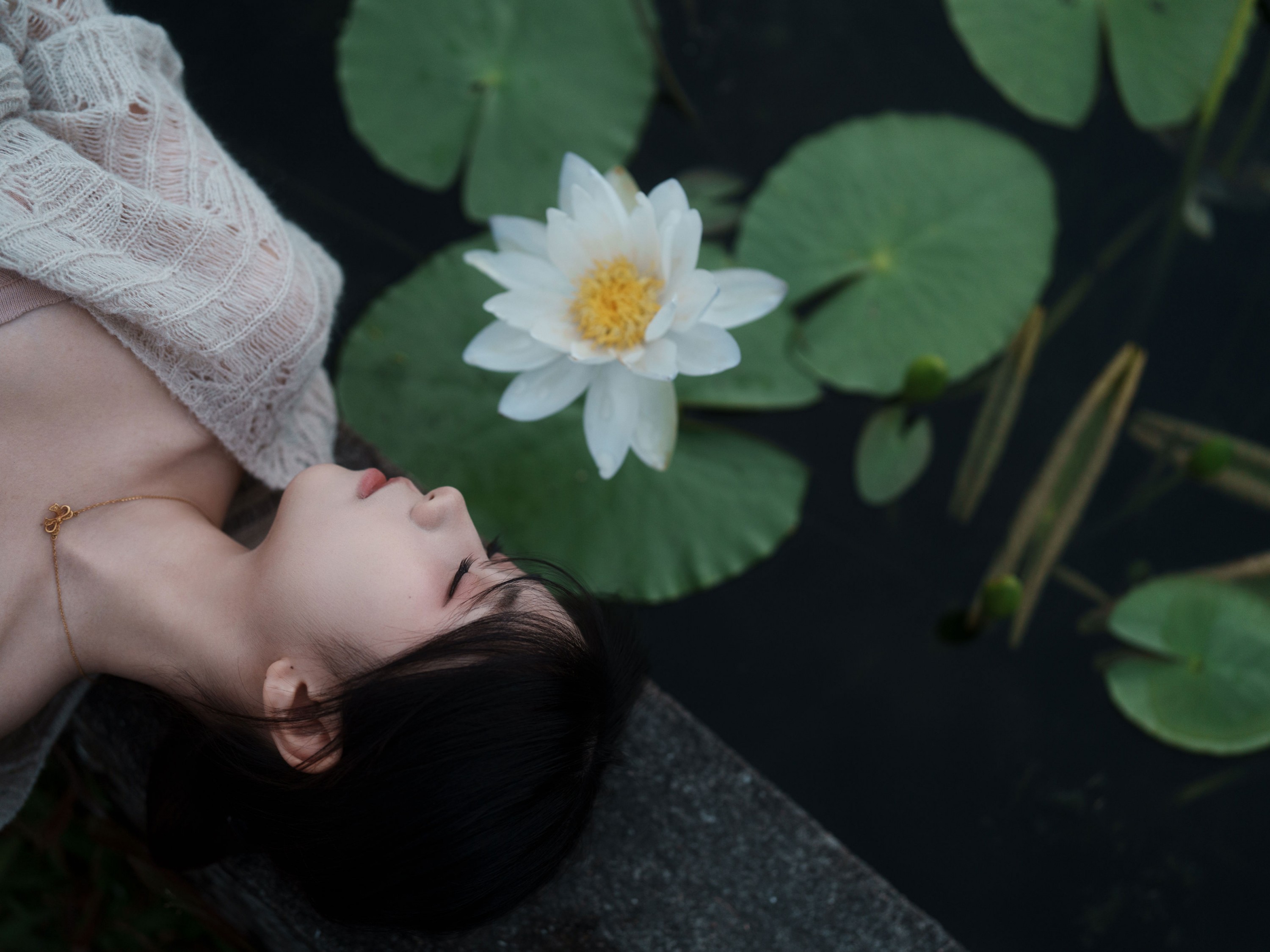 《冬树已红》[33P]