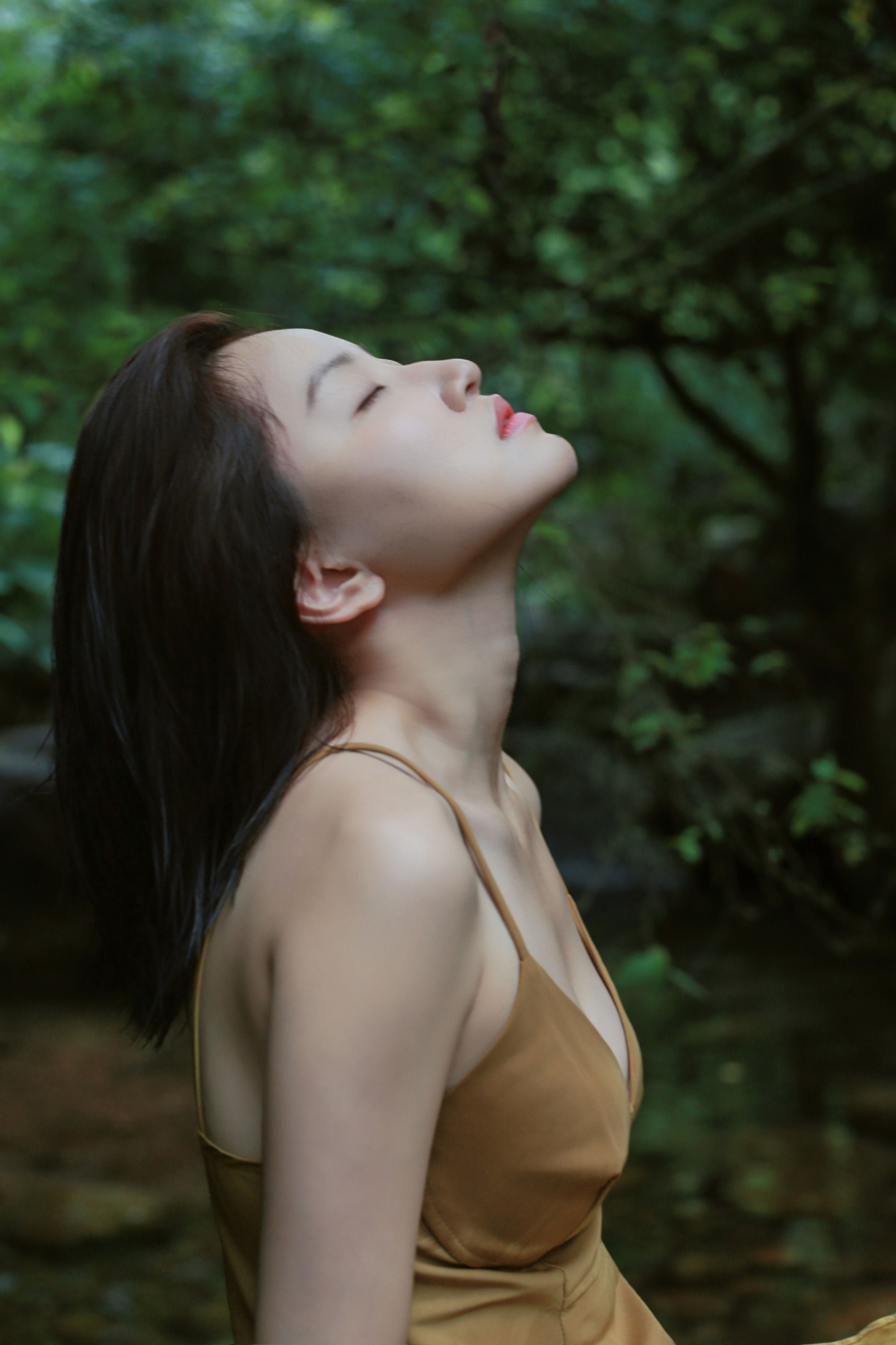 《天竺山的夏》[16P]