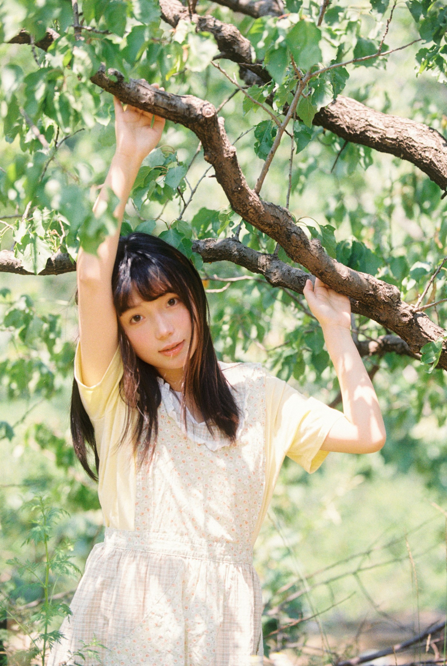 采杏子的女孩