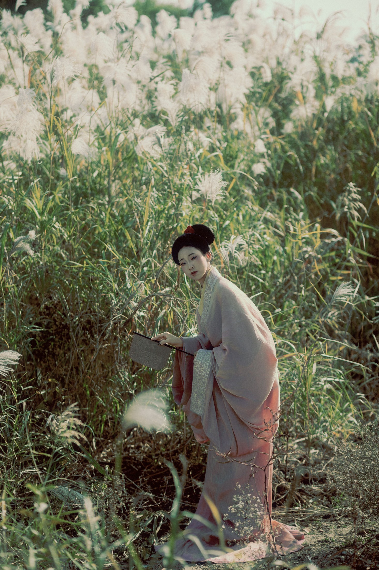 辞安 - 《蒹葭苍苍》[31P]