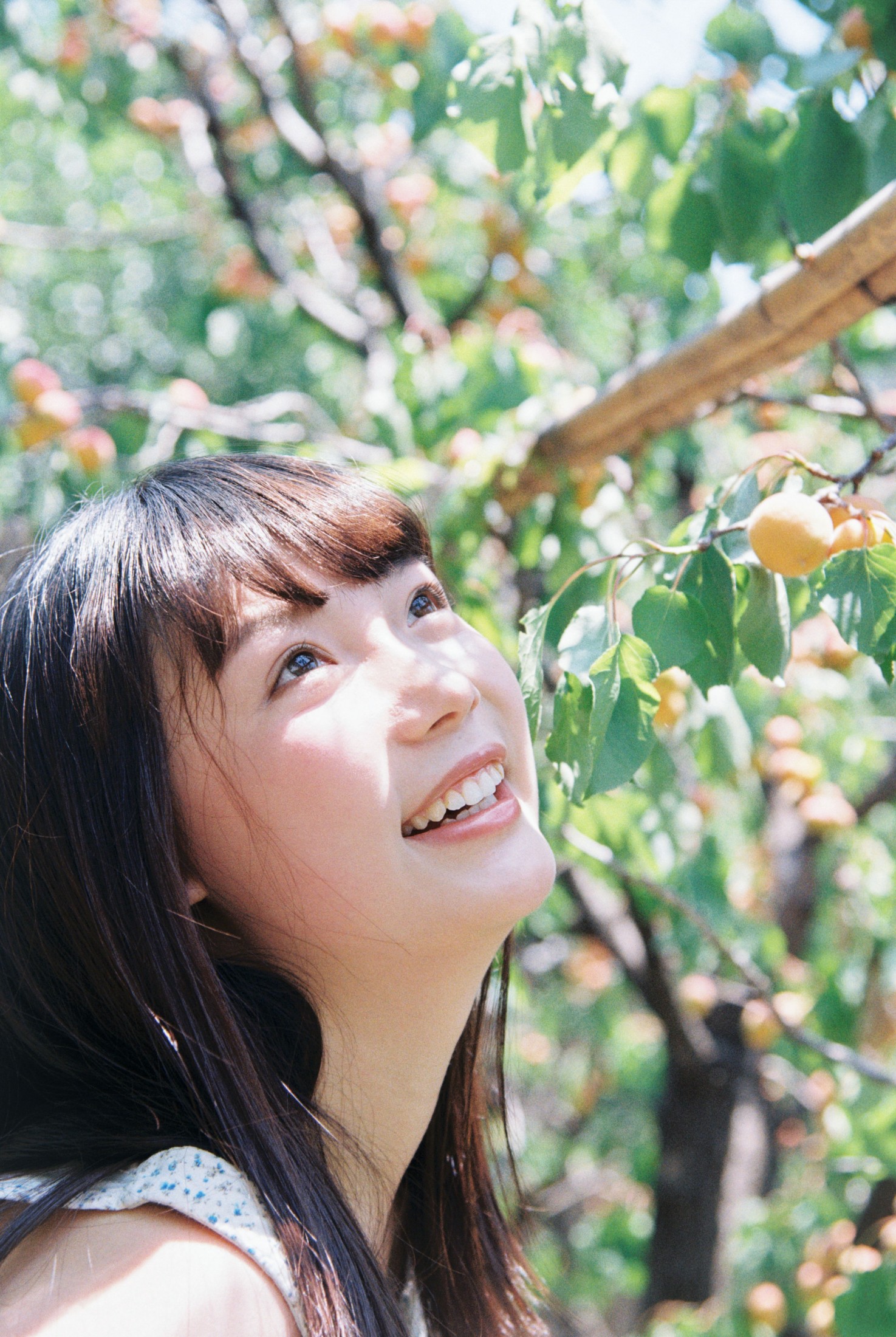 昨日乡村一日游