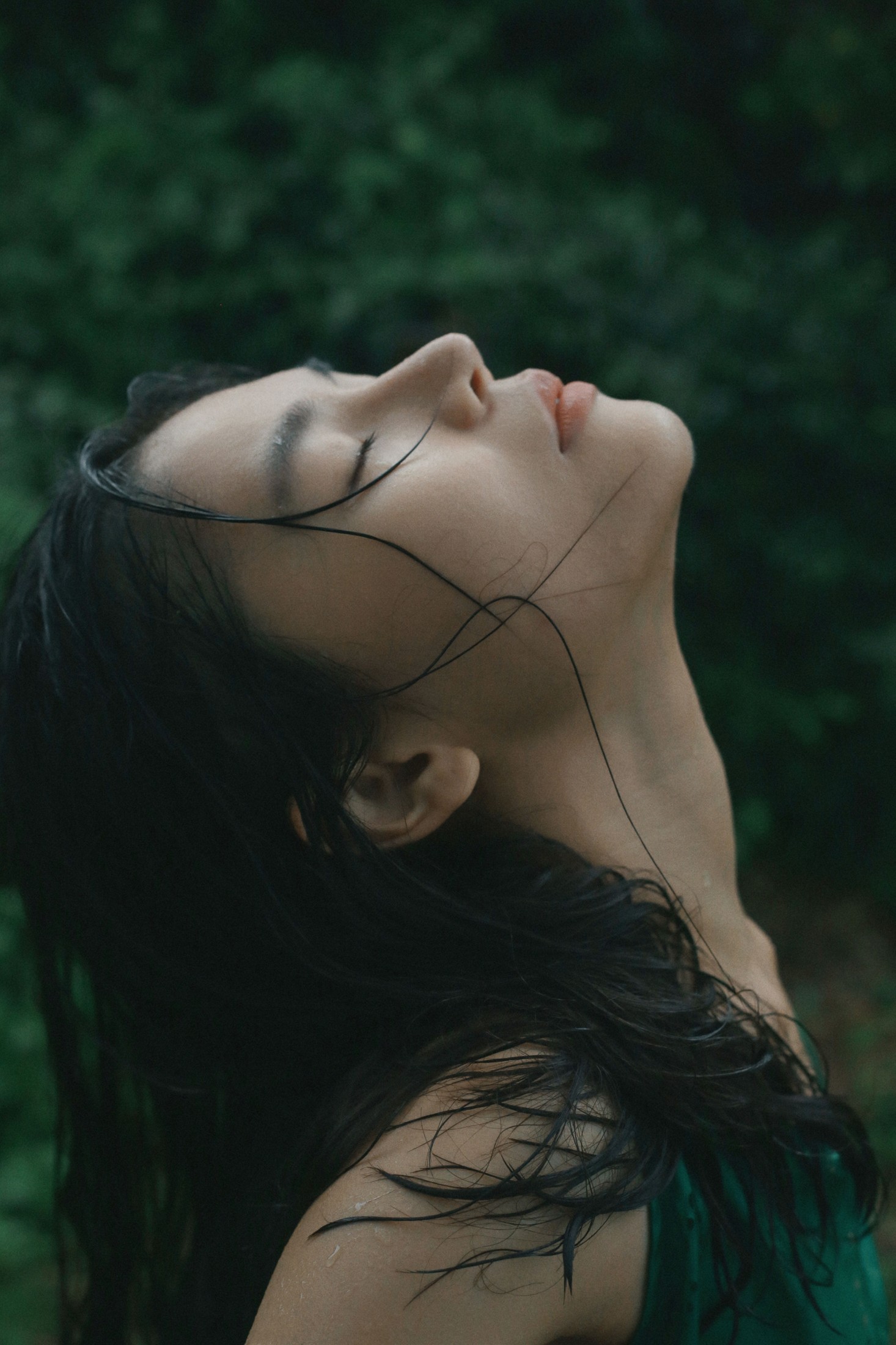 《烟雨》[13P]
