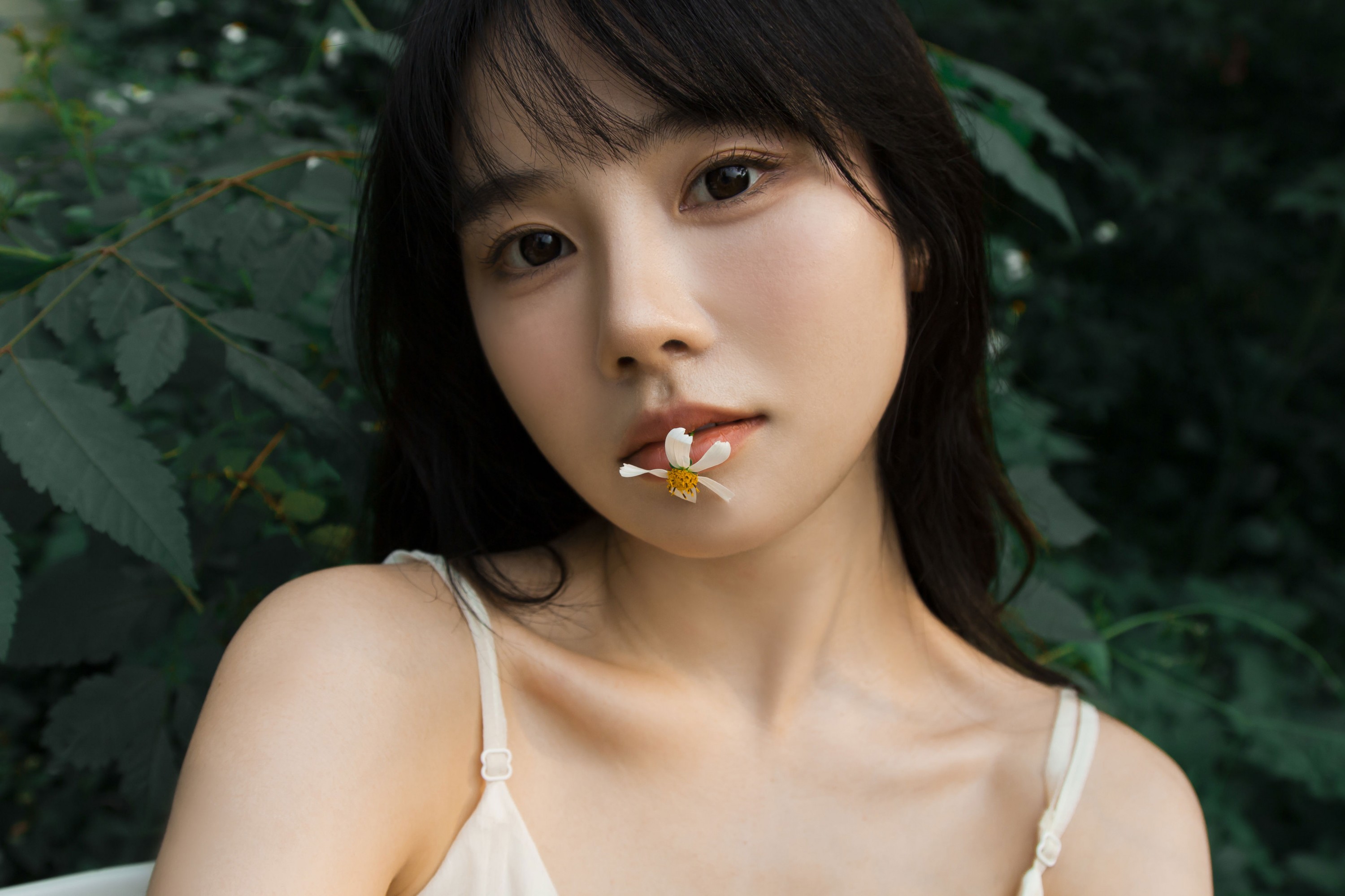 《待我苦涩的眼睛长出春天》[15P]
