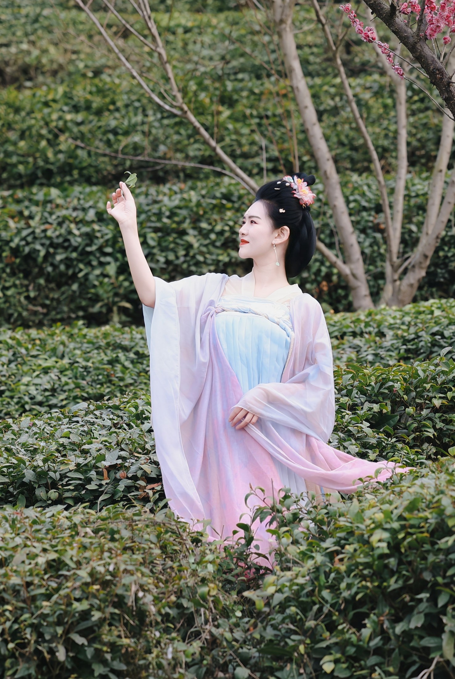 采茶仙子