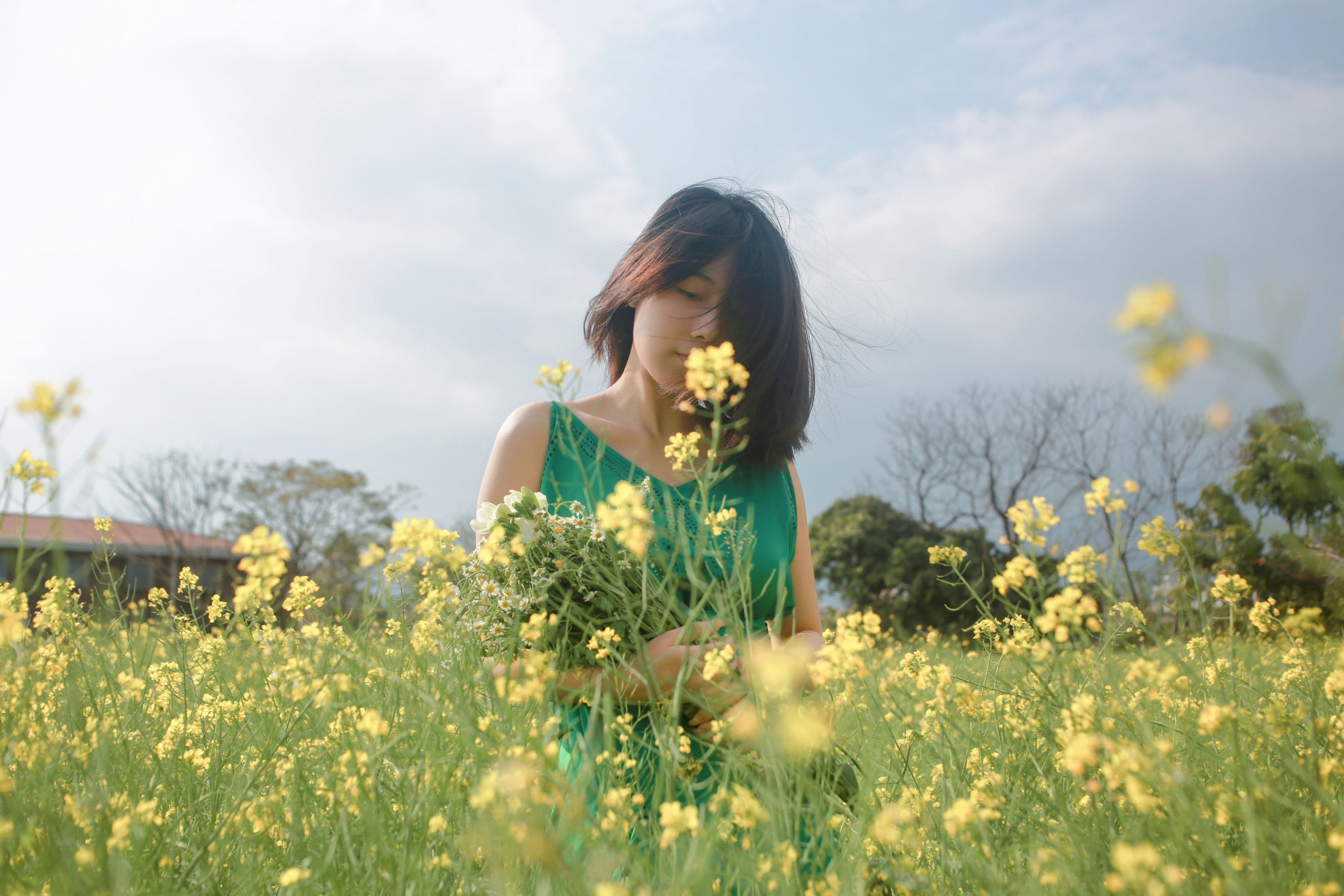 《油菜花》[36P]