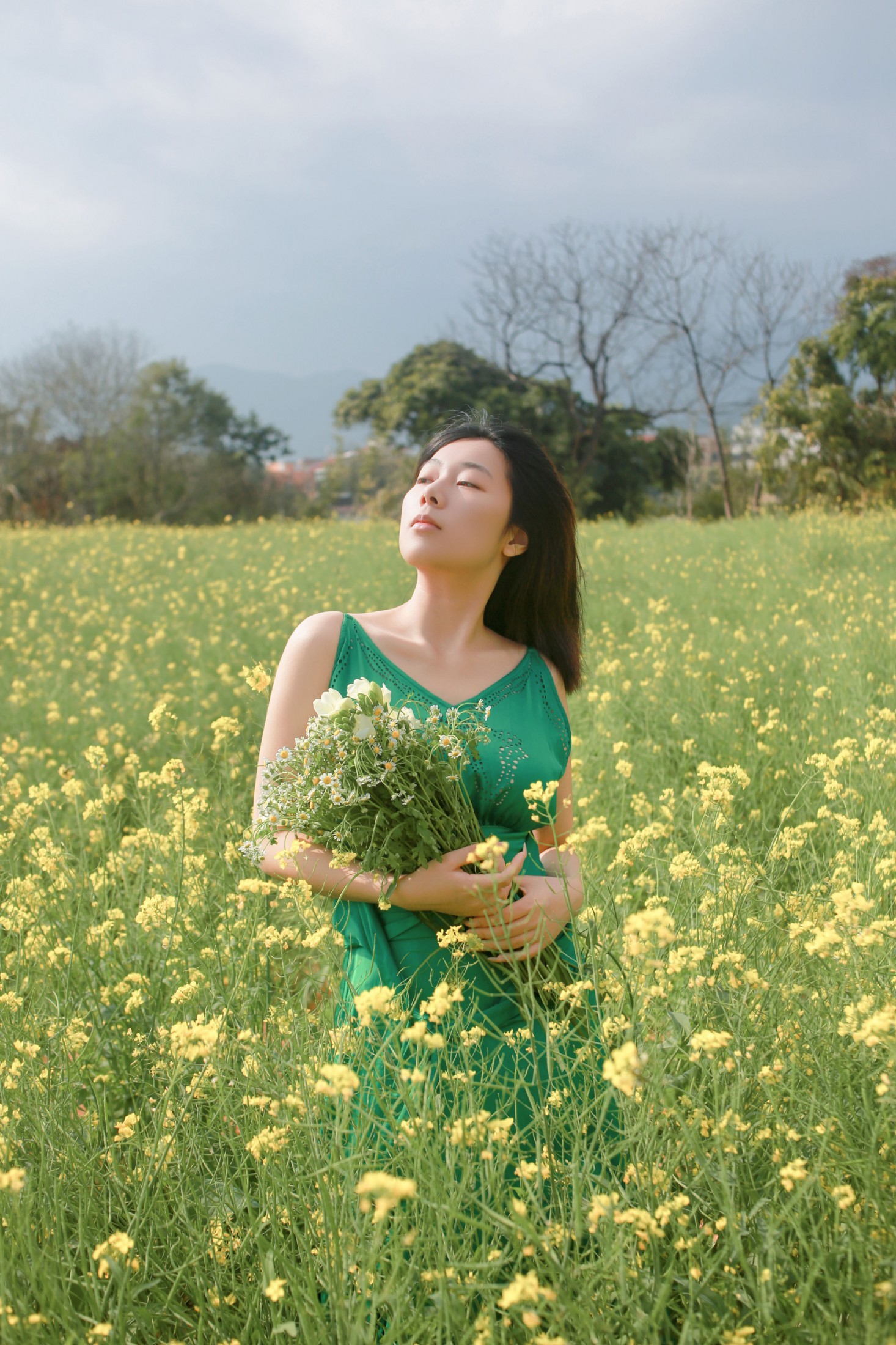 油菜花
