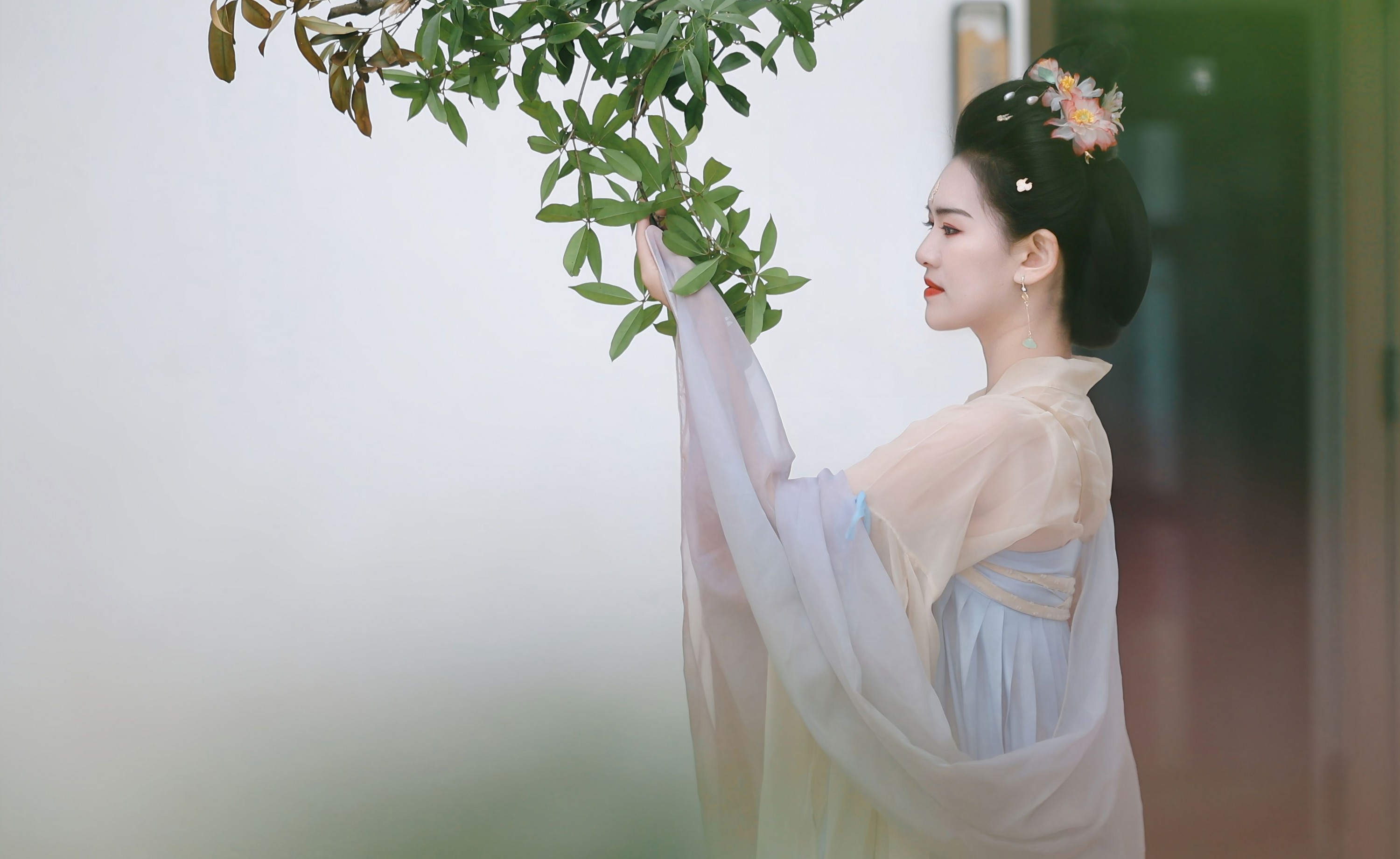 翩若惊鸿