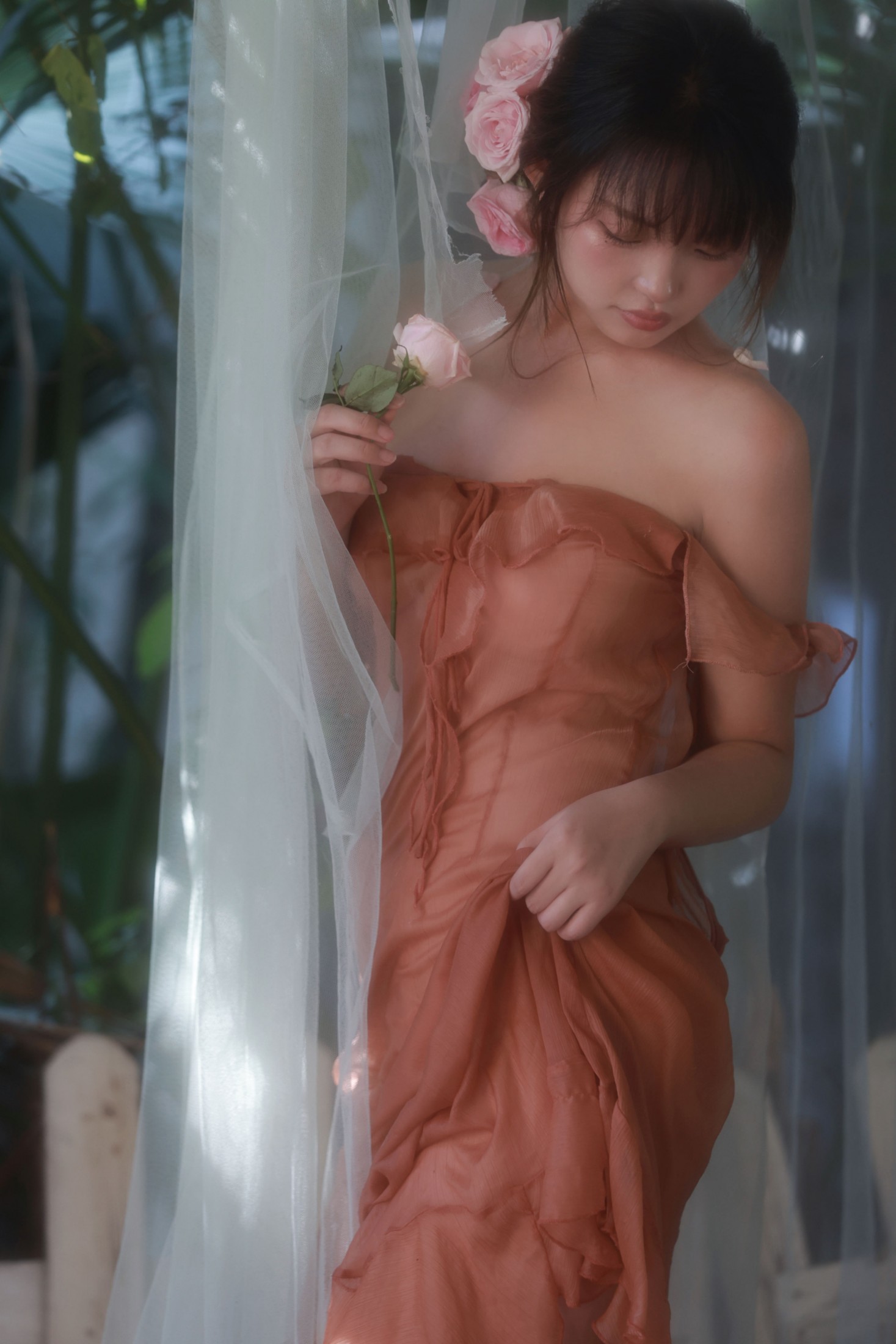 粉玫
