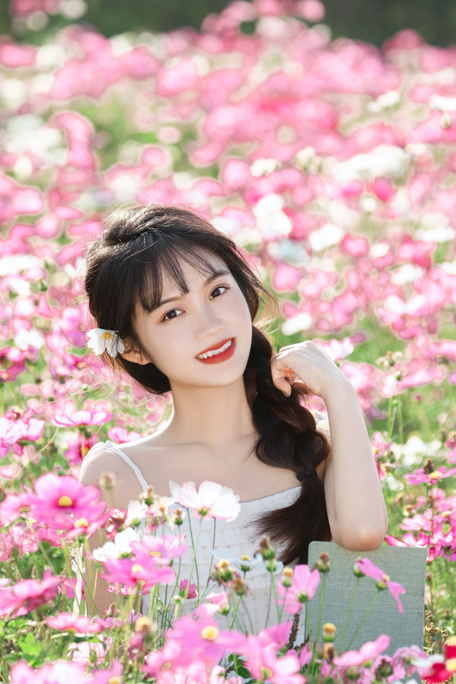 格桑花海