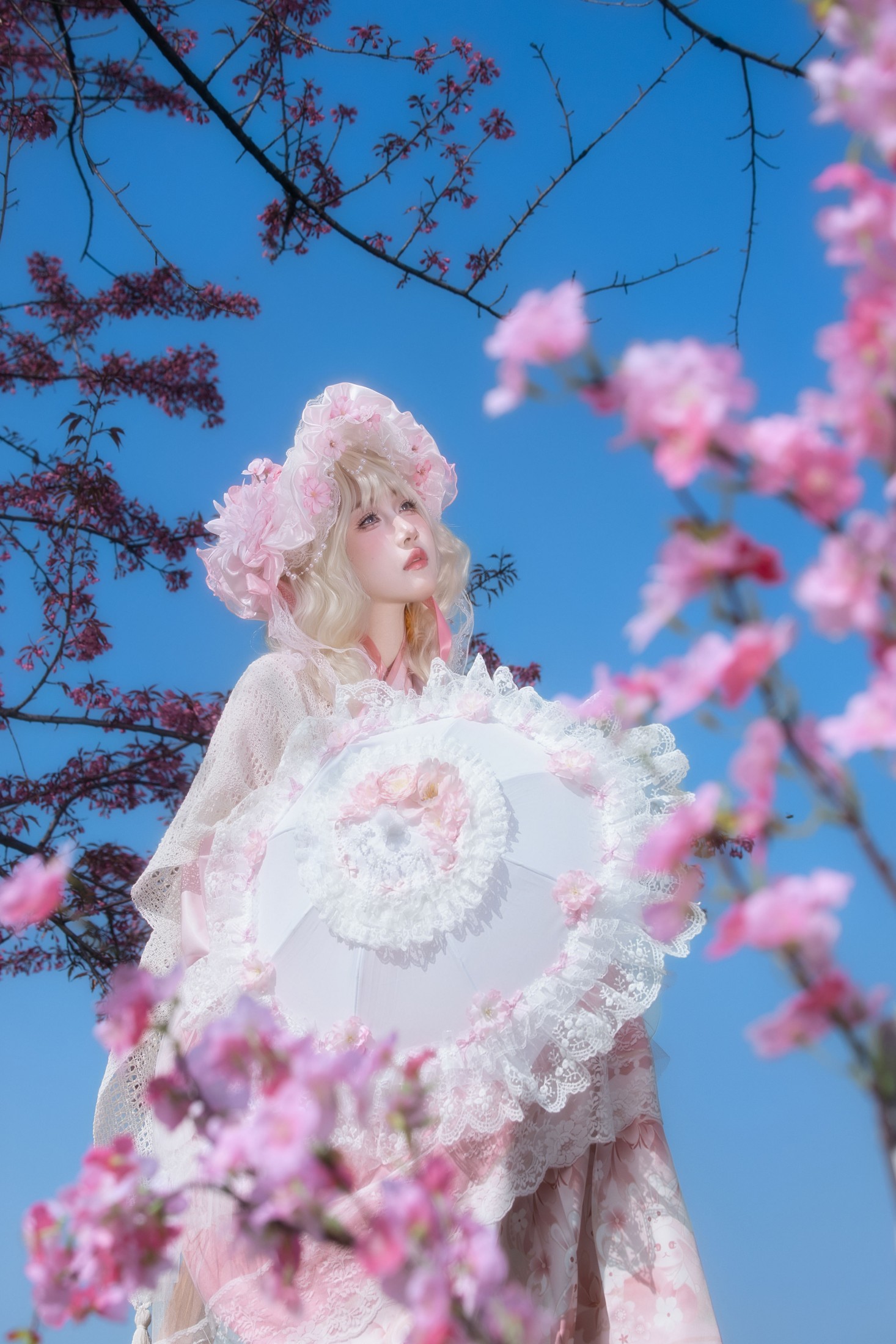樱花树下