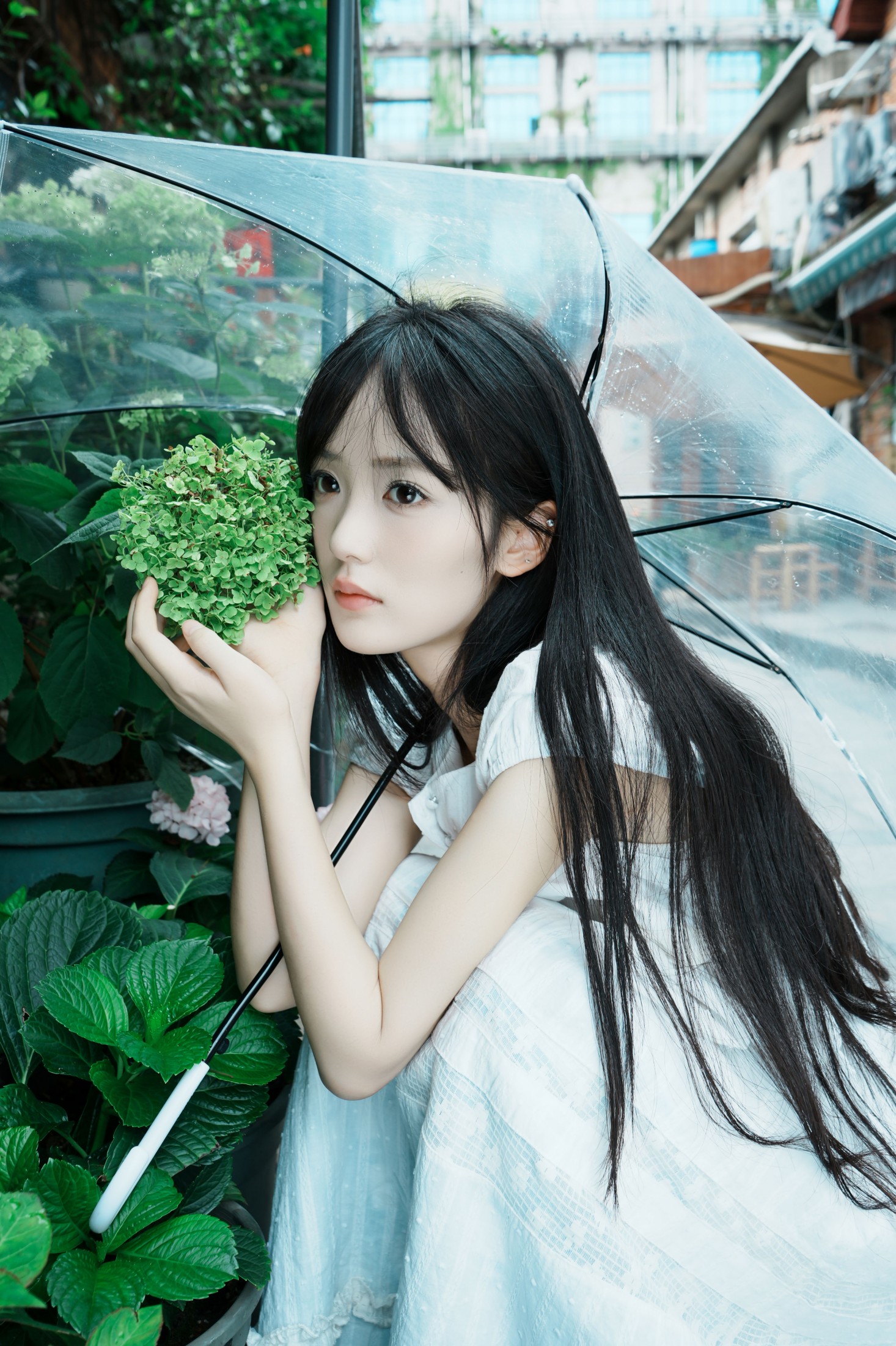 夏天的颜色